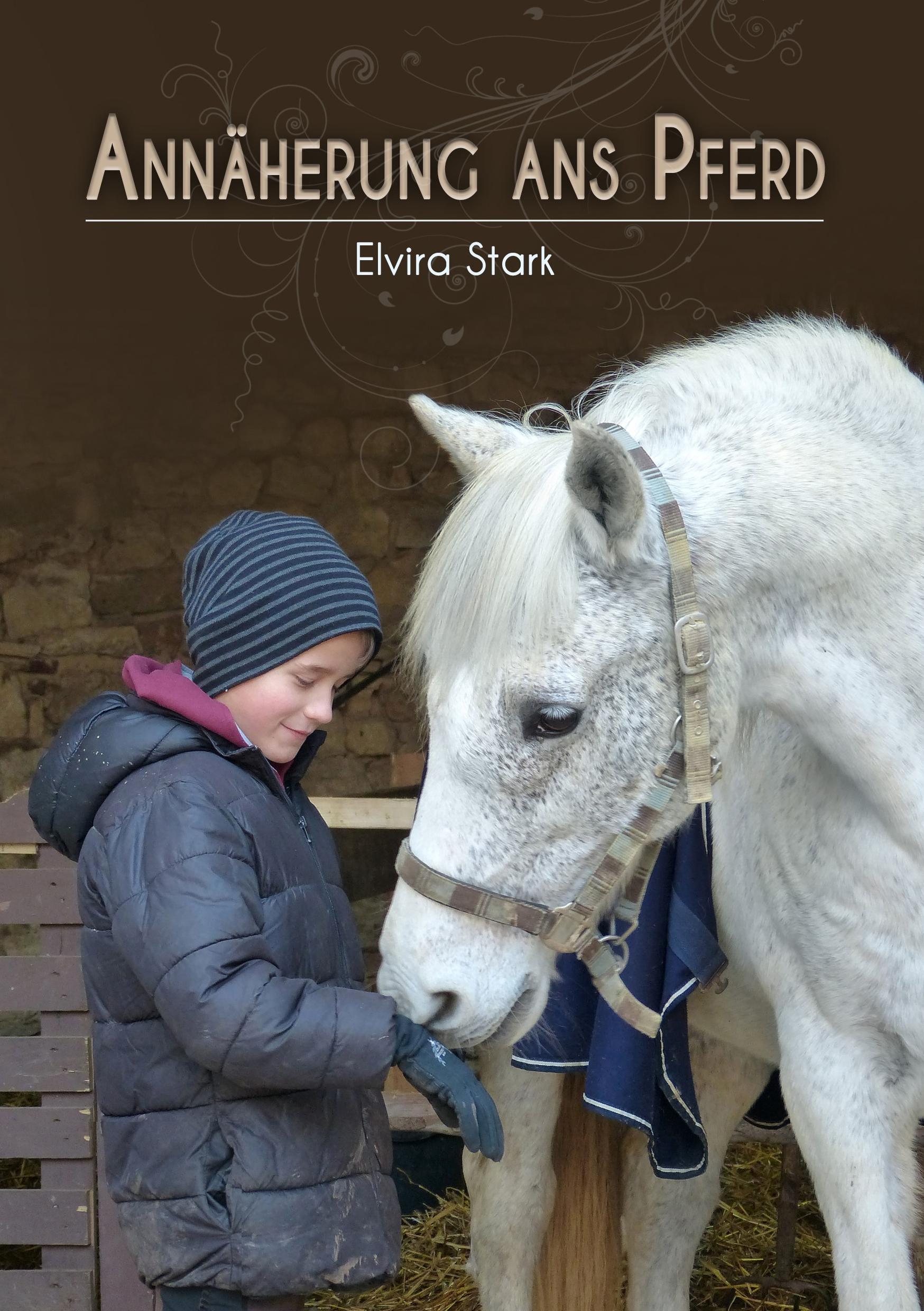Vorderes Coverbild Annäherung ans Pferd