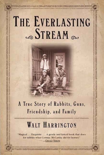 Vorderes Coverbild The Everlasting Stream
