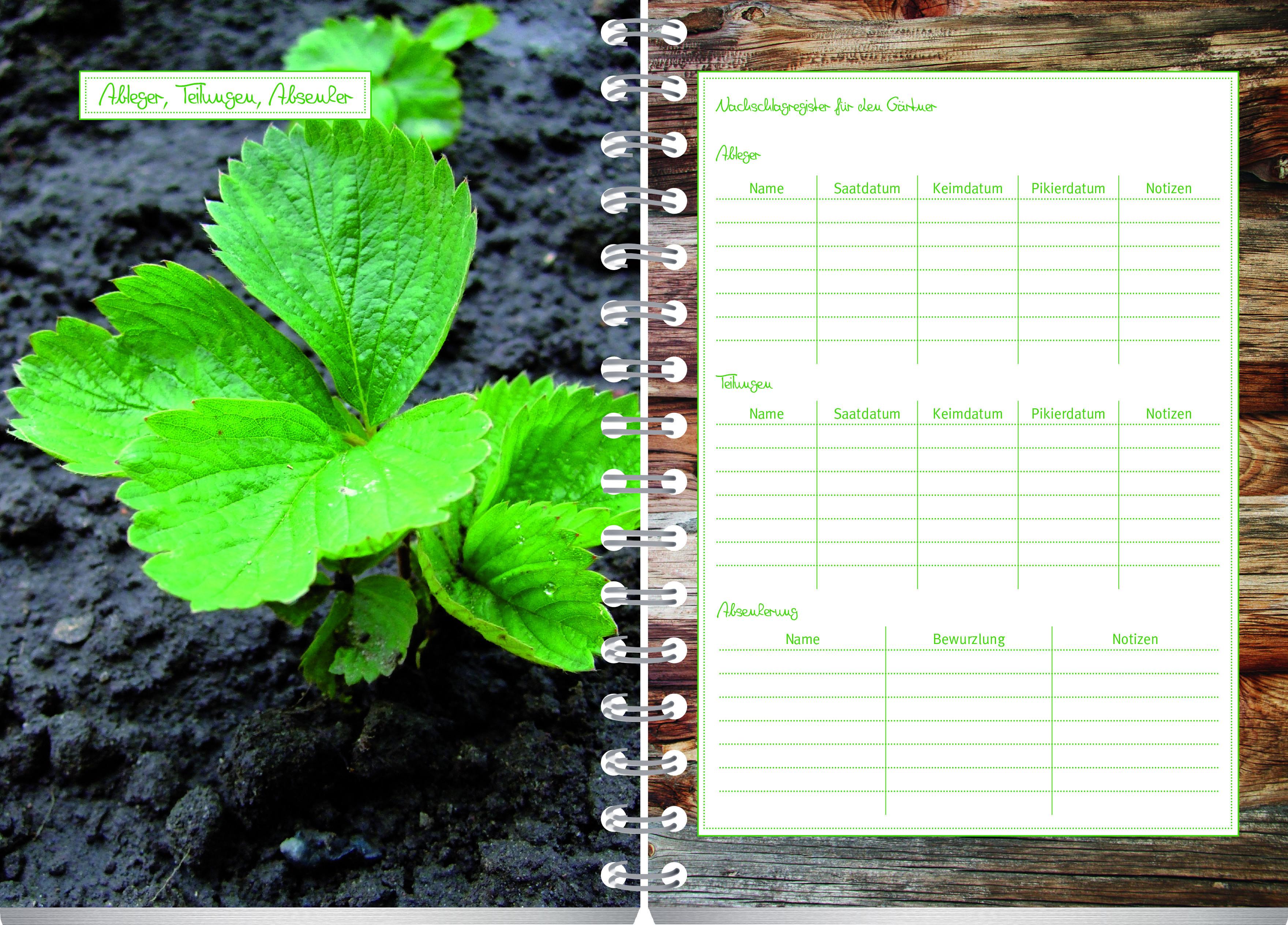 Beispielinhalt (Bild) Mein Gartentagebuch für den Obst- und Gemüsegärtner