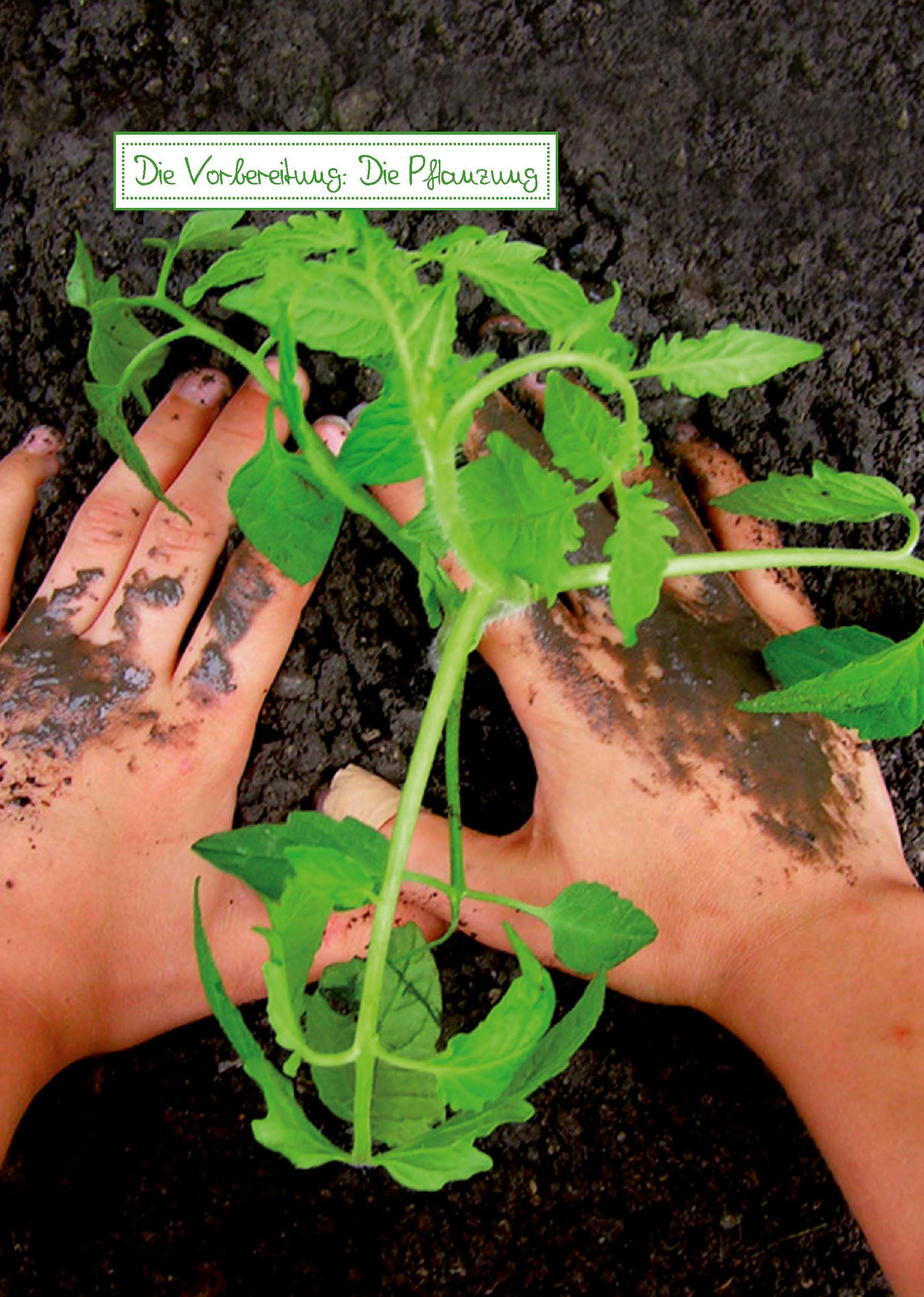 Beispielinhalt (Bild) Mein Gartentagebuch für den Obst- und Gemüsegärtner