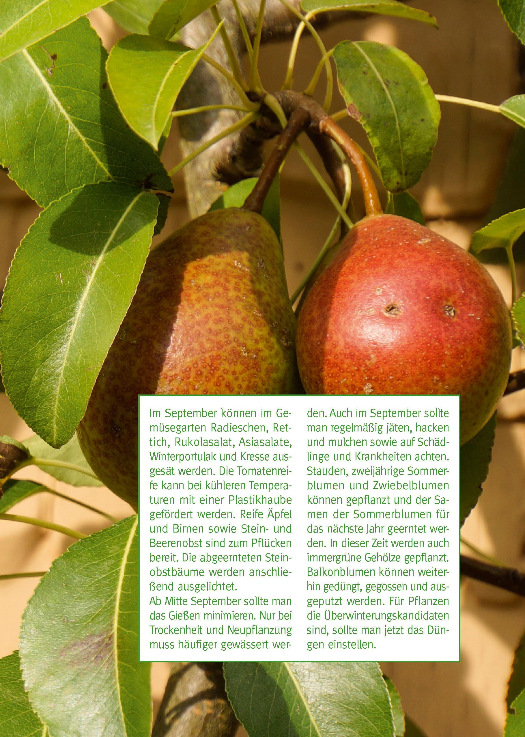 Beispielinhalt (Bild) Mein Gartentagebuch für den Obst- und Gemüsegärtner