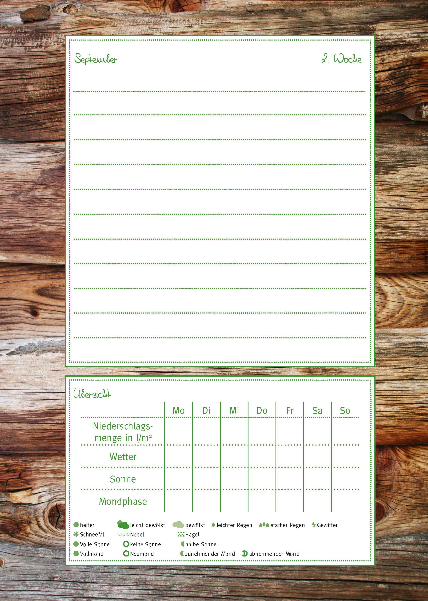 Beispielinhalt (Bild) Mein Gartentagebuch für den Obst- und Gemüsegärtner