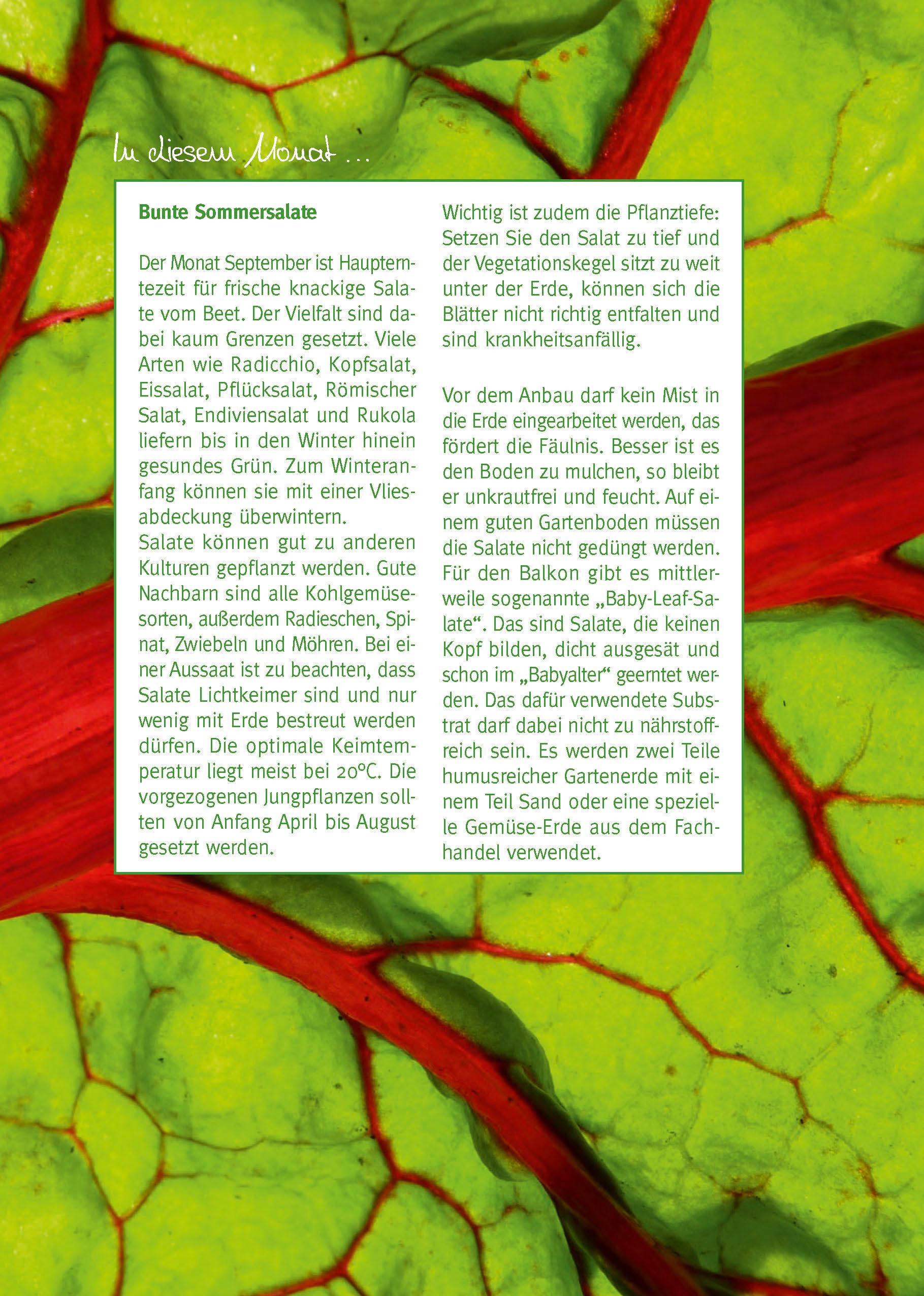 Beispielinhalt (Bild) Mein Gartentagebuch für den Obst- und Gemüsegärtner