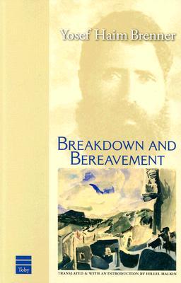 Vorderes Coverbild Breakdown and Bereavement