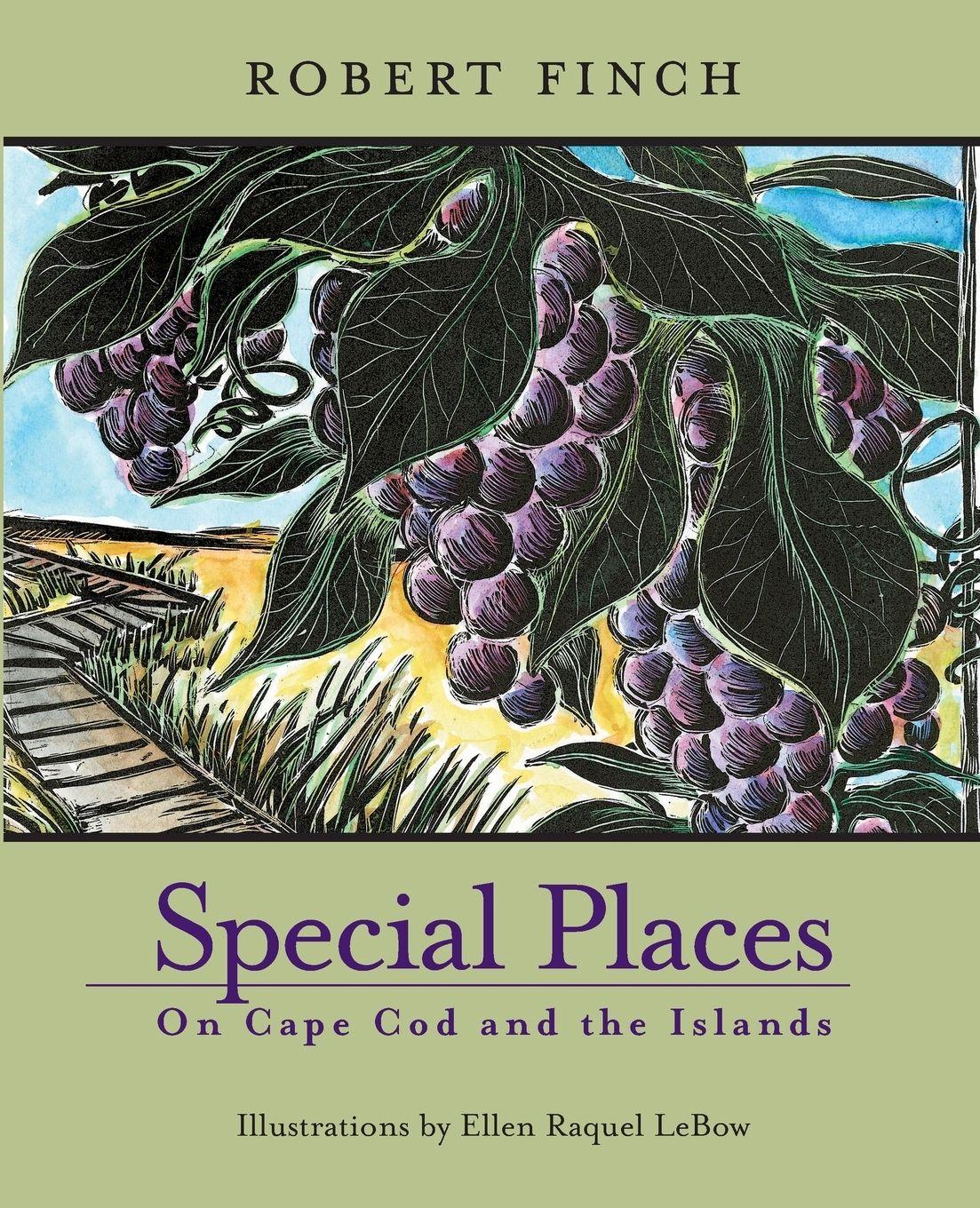 Vorderes Coverbild Special Places on Cape Cod and the Islands