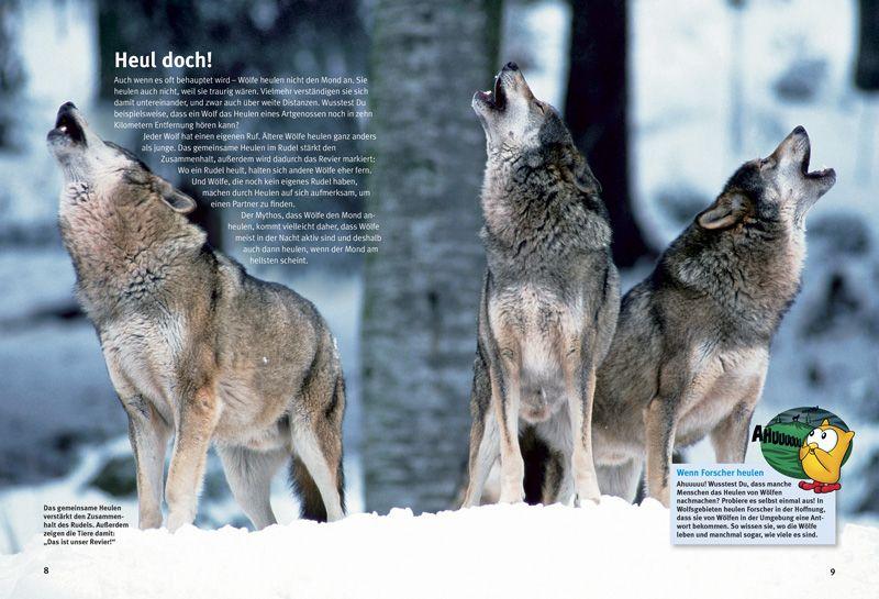 Beispielinhalt (Bild) Entdecke die Wölfe