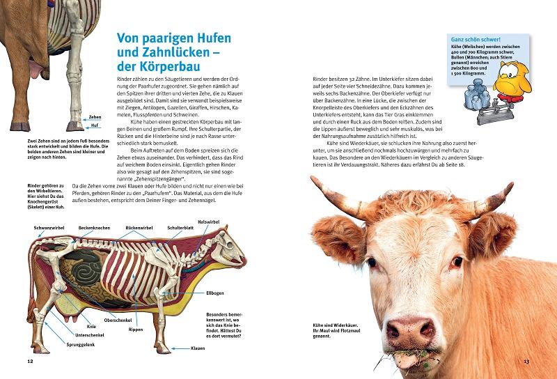 Beispielinhalt (Bild) Entdecke die Kühe