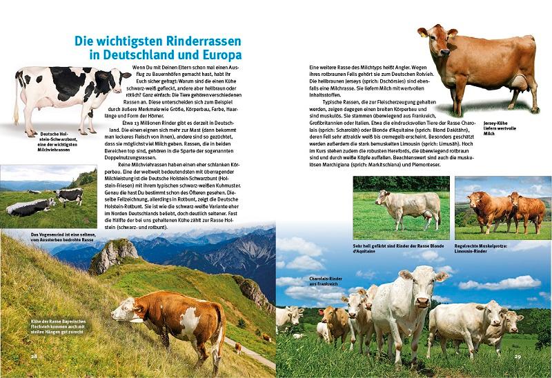 Beispielinhalt (Bild) Entdecke die Kühe