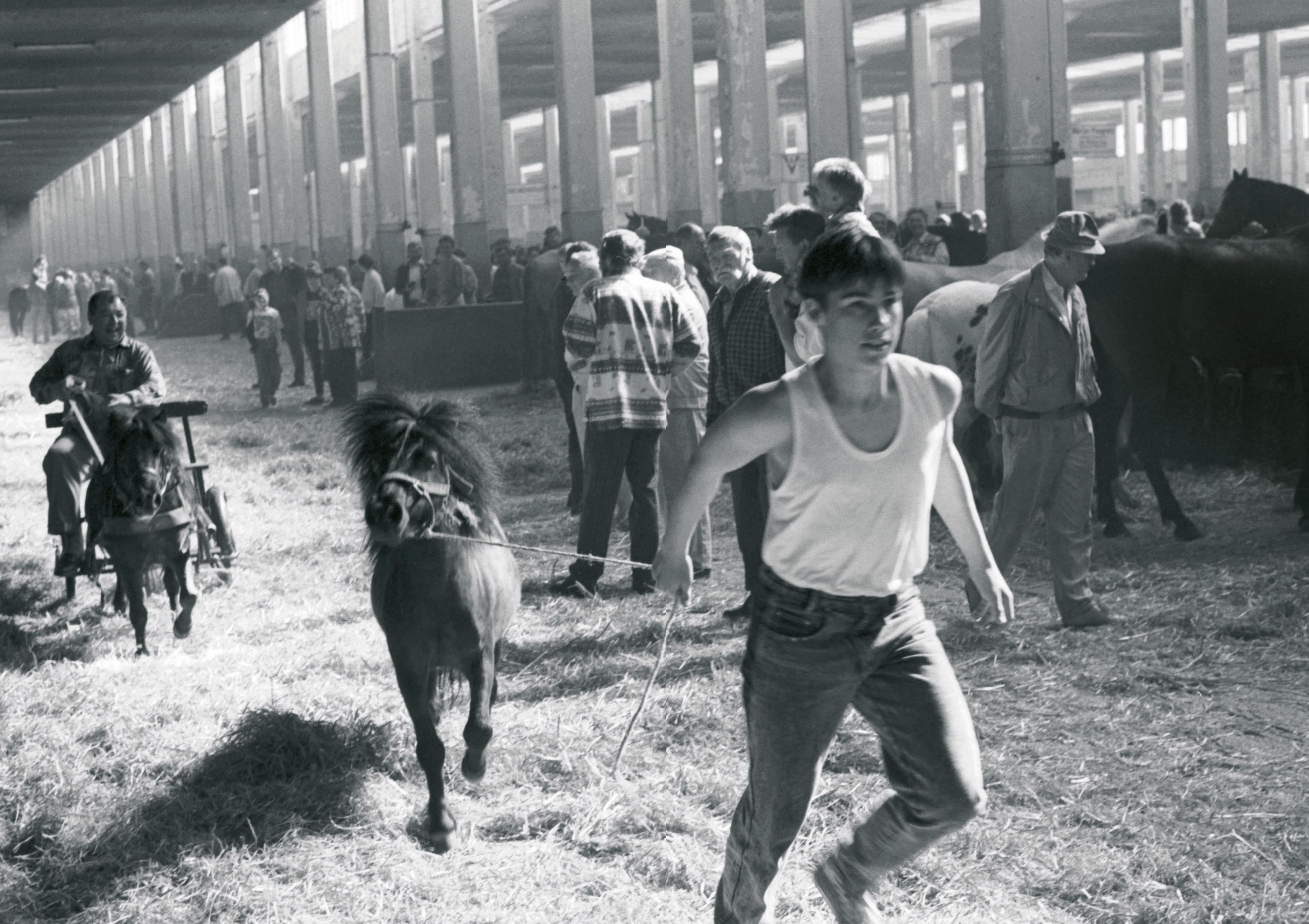 Beispielinhalt (Bild) Der Pferdemarkt München