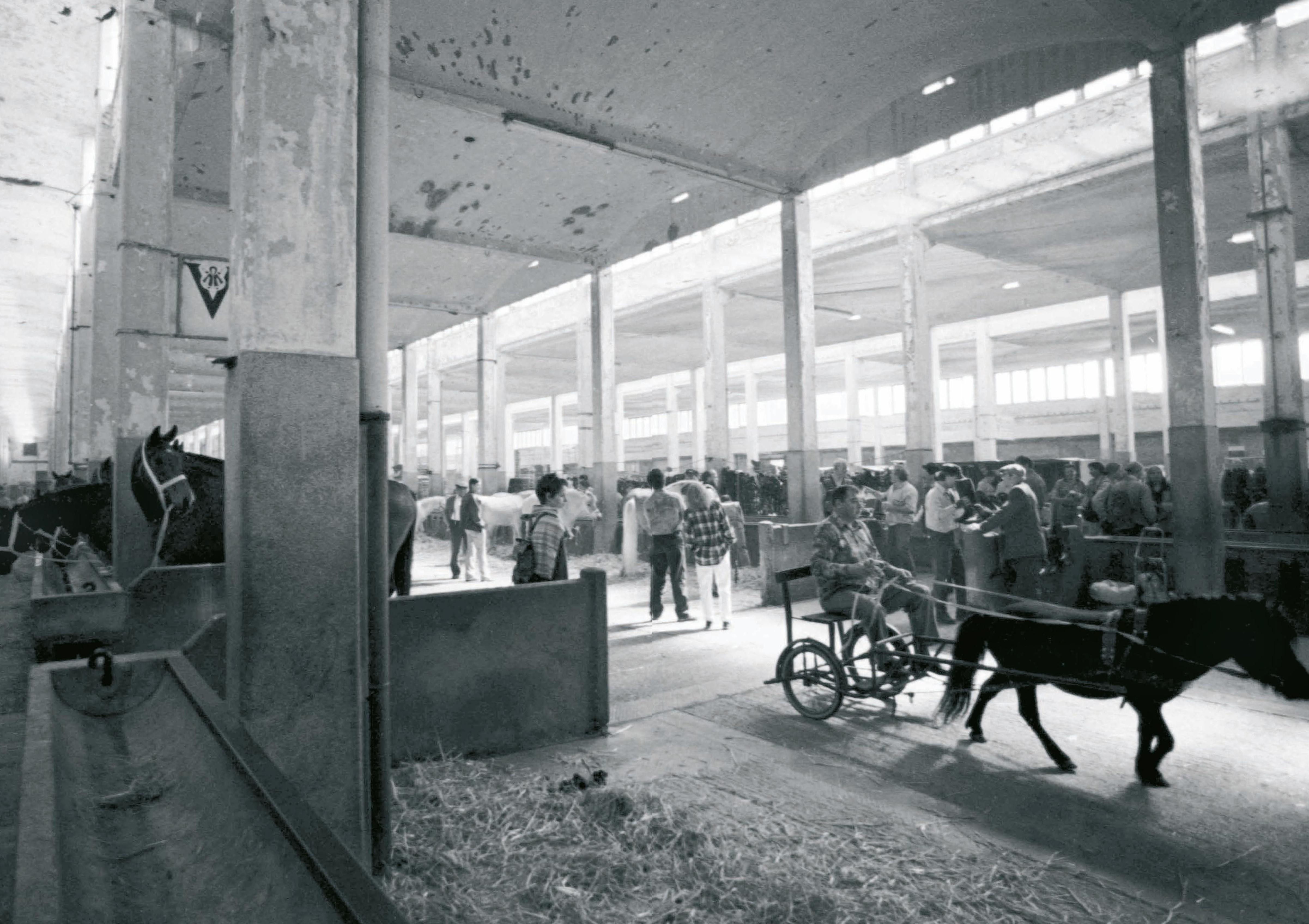 Beispielinhalt (Bild) Der Pferdemarkt München