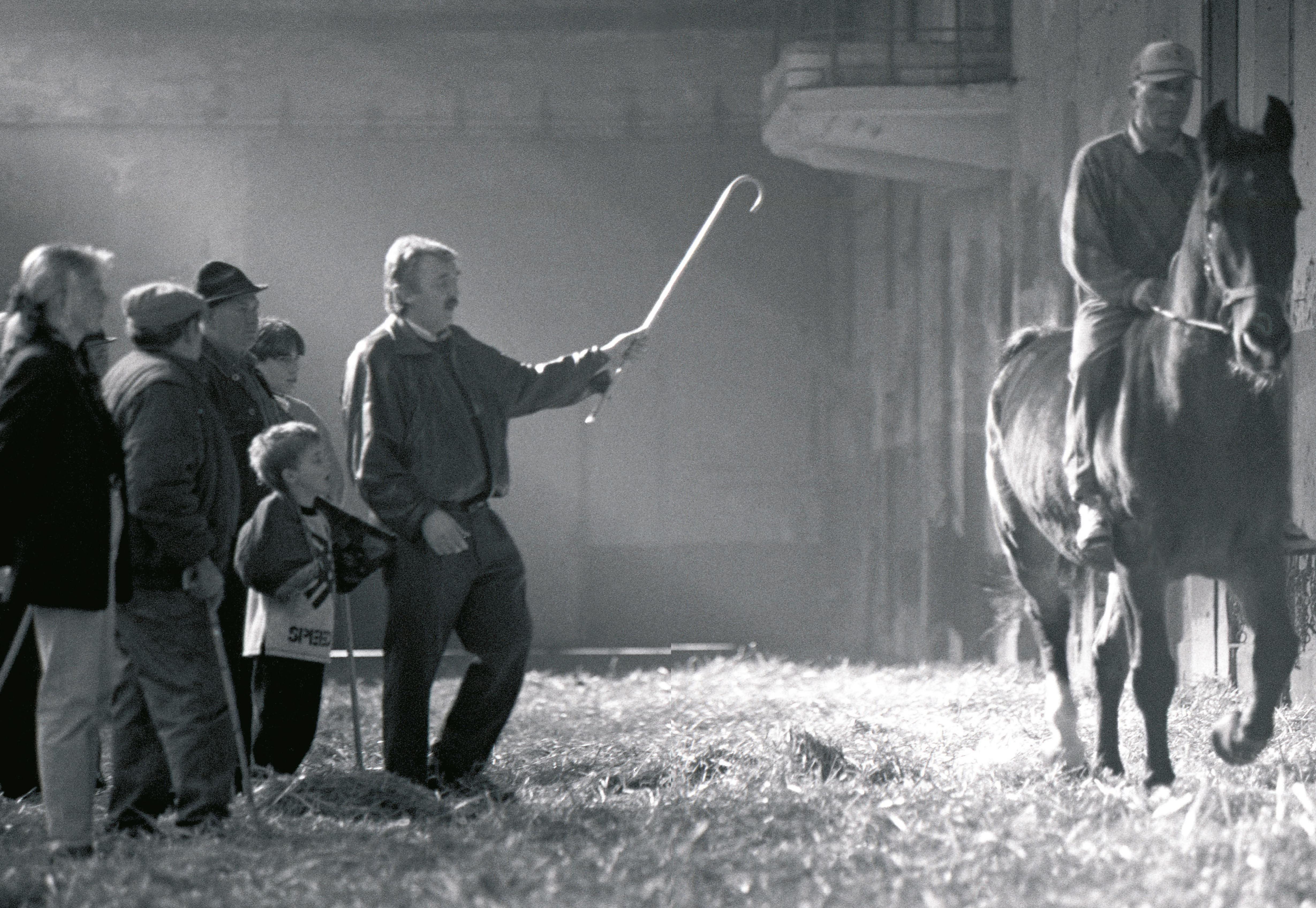 Beispielinhalt (Bild) Der Pferdemarkt München