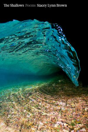 Vorderes Coverbild The Shallows: Poems