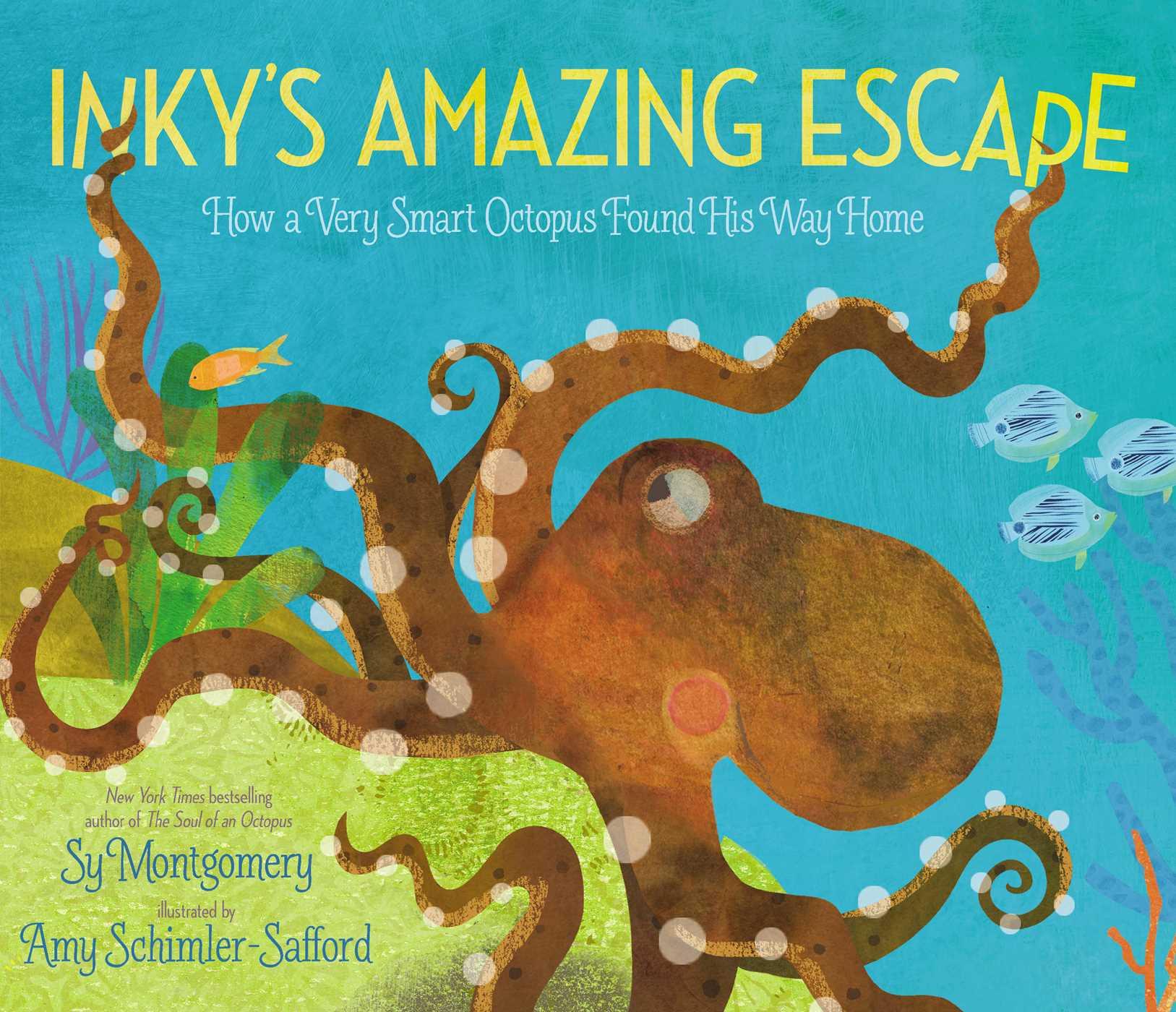 Vorderes Coverbild Inky's Amazing Escape
