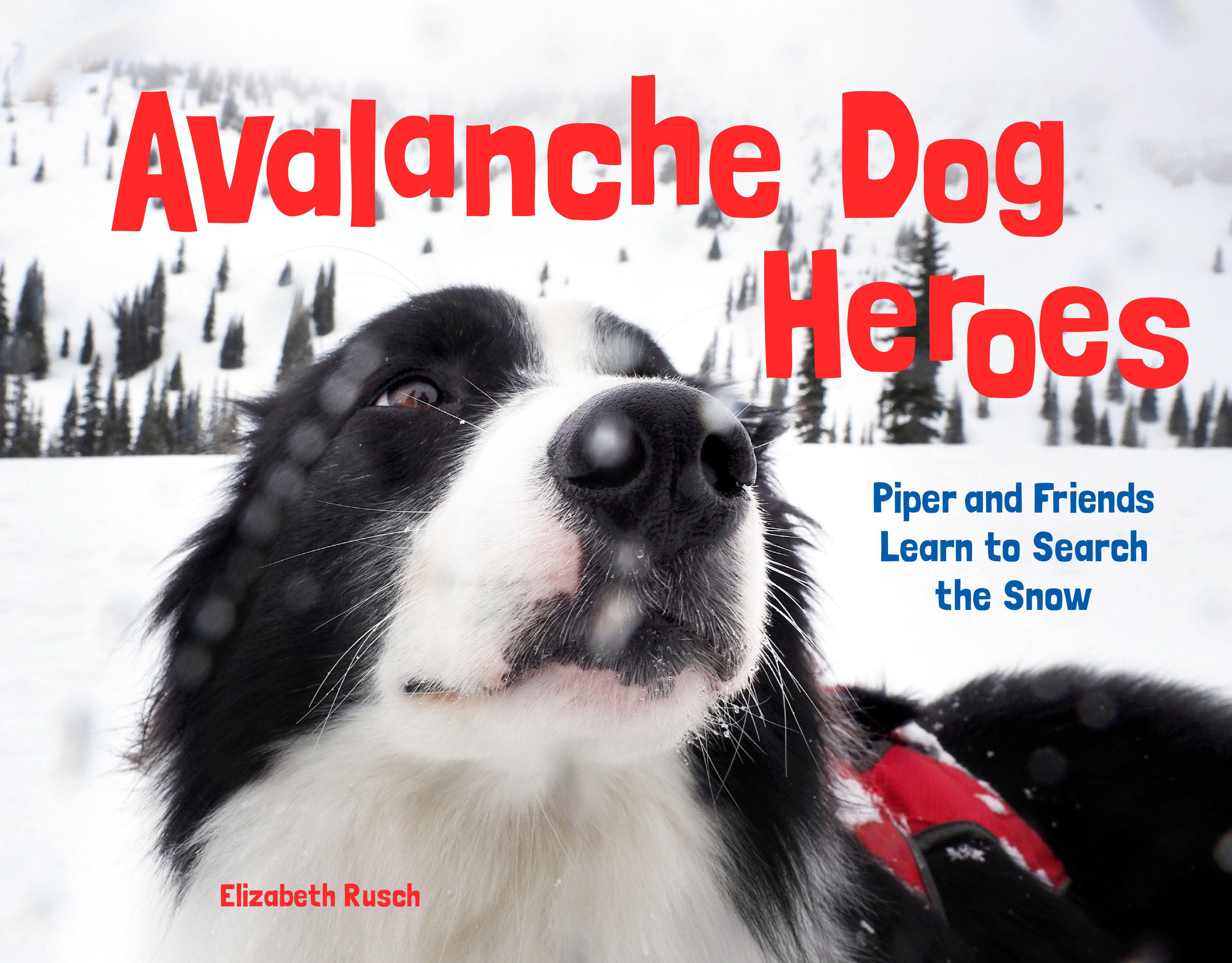 Vorderes Coverbild Avalanche Dog Heroes