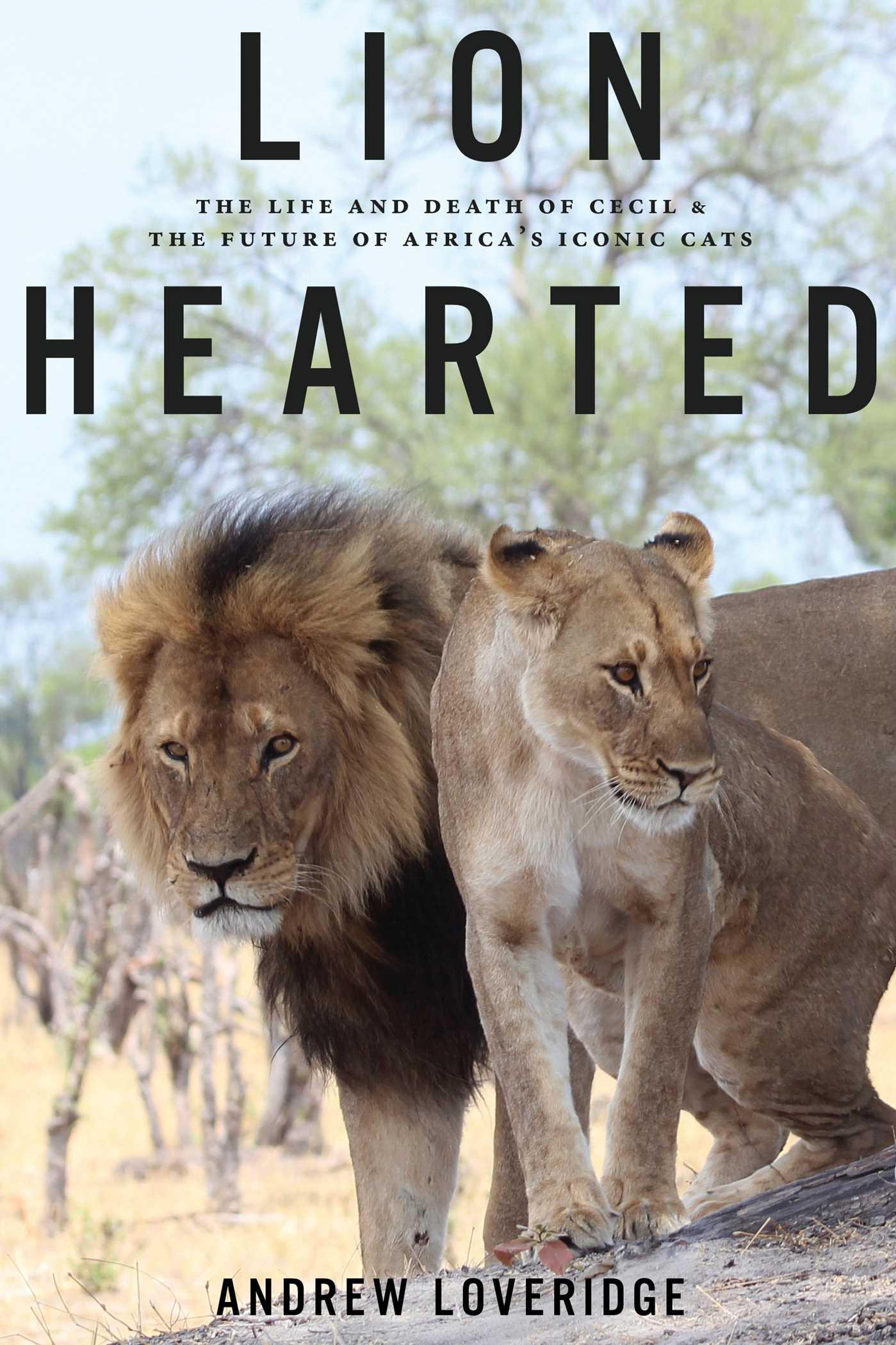 Vorderes Coverbild Lion Hearted