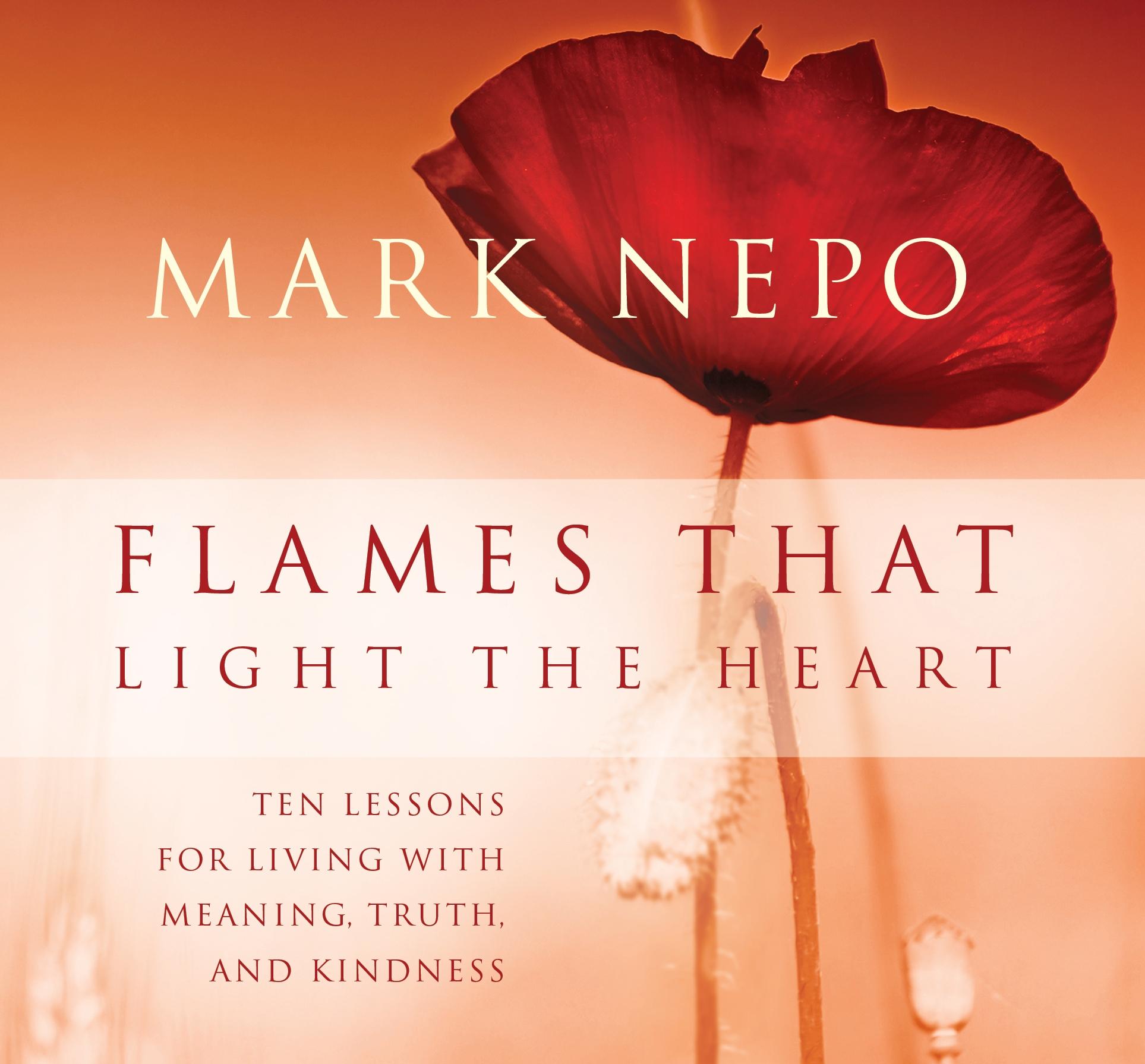 Vorderes Coverbild Flames That Light the Heart: Ten Lessons for Living with Meaning, Truth, and Kindness