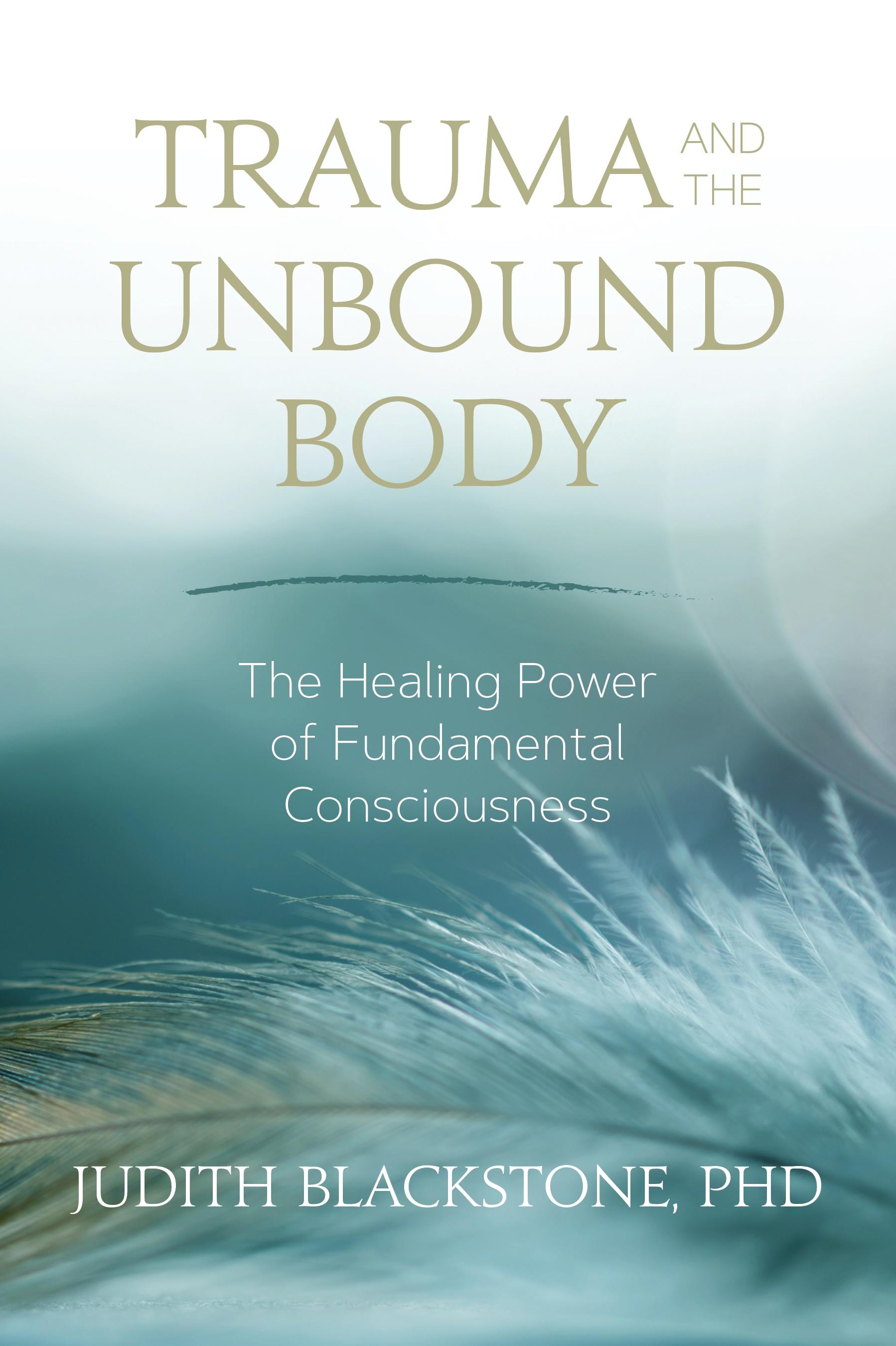 Vorderes Coverbild Trauma and the Unbound Body