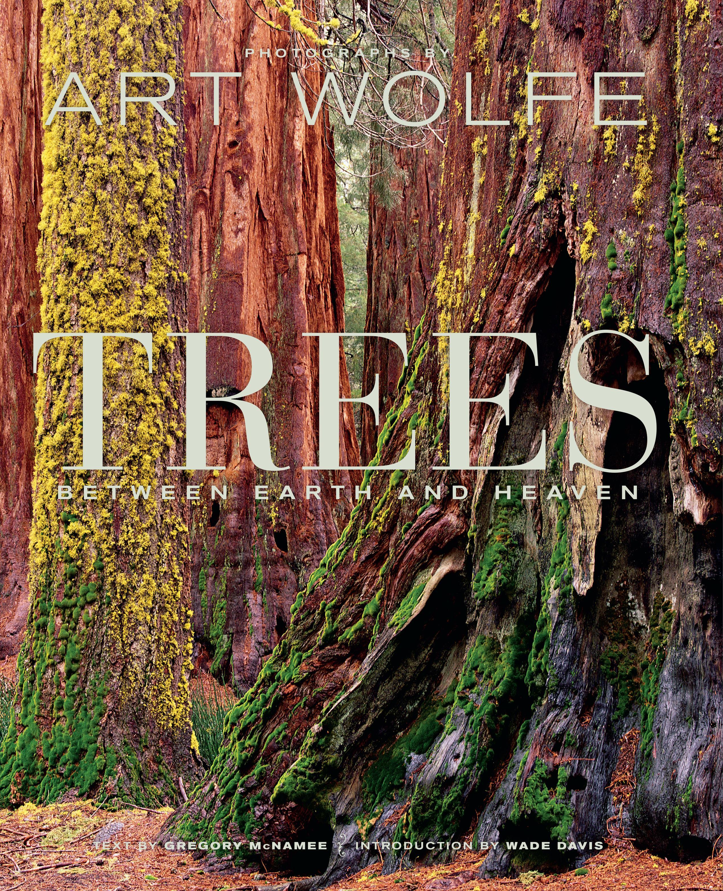Vorderes Coverbild Trees