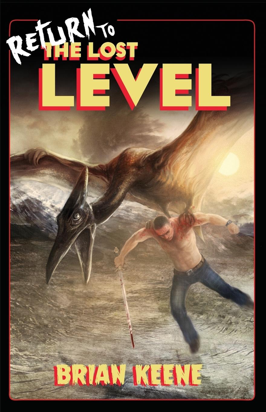 Vorderes Coverbild Return to the Lost Level