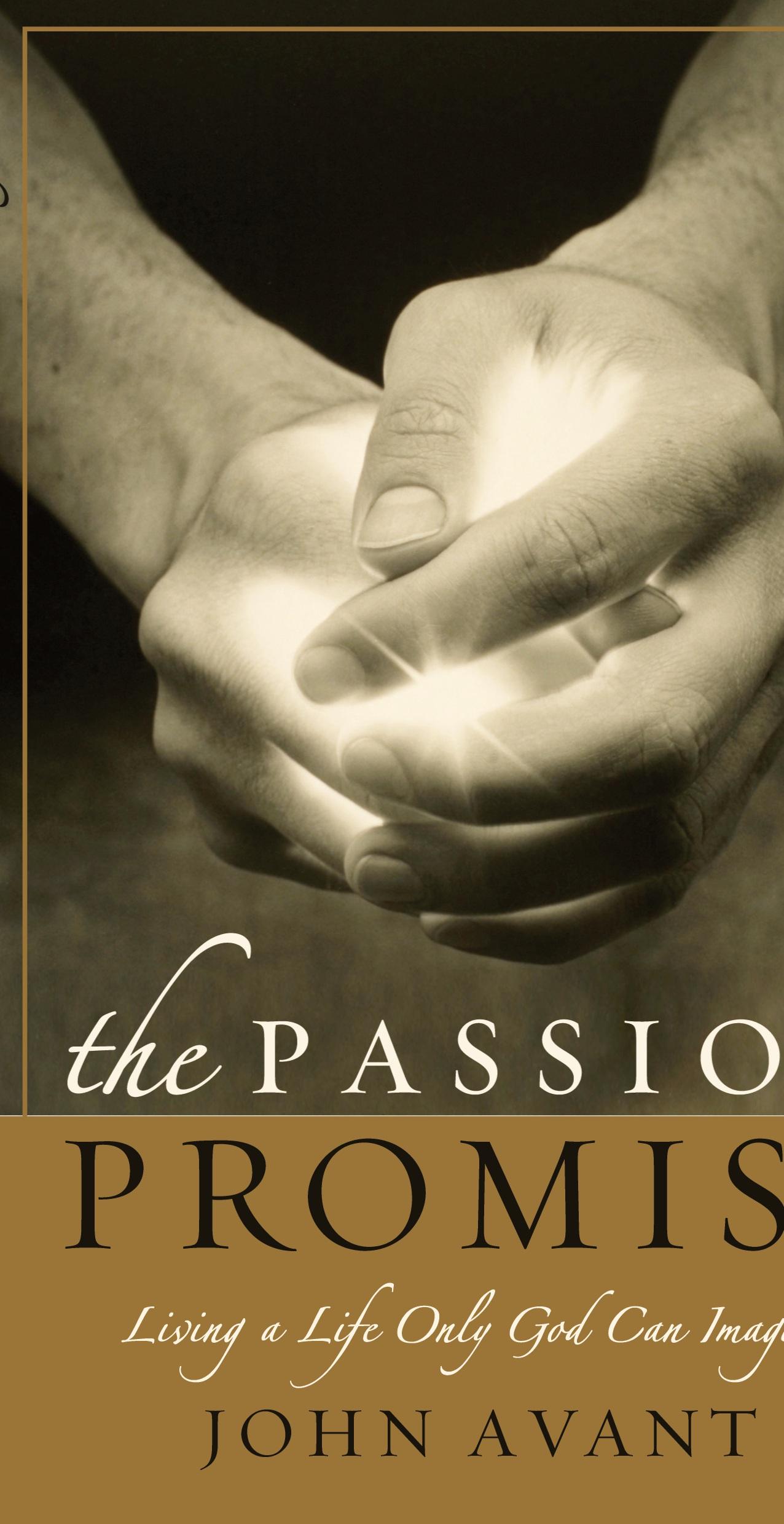 Vorderes Coverbild The Passion Promise
