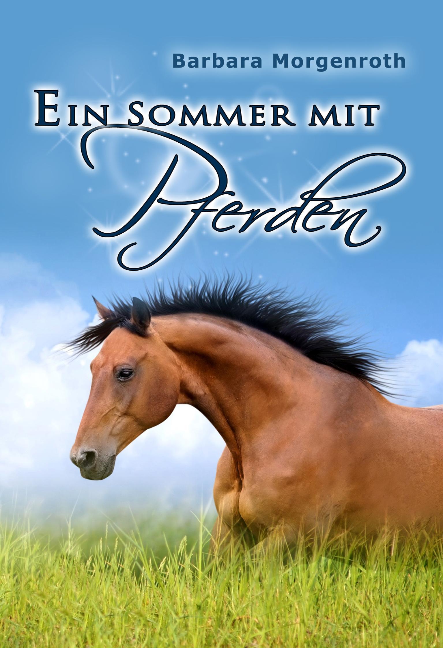 Vorderes Coverbild Ein Sommer mit Pferden