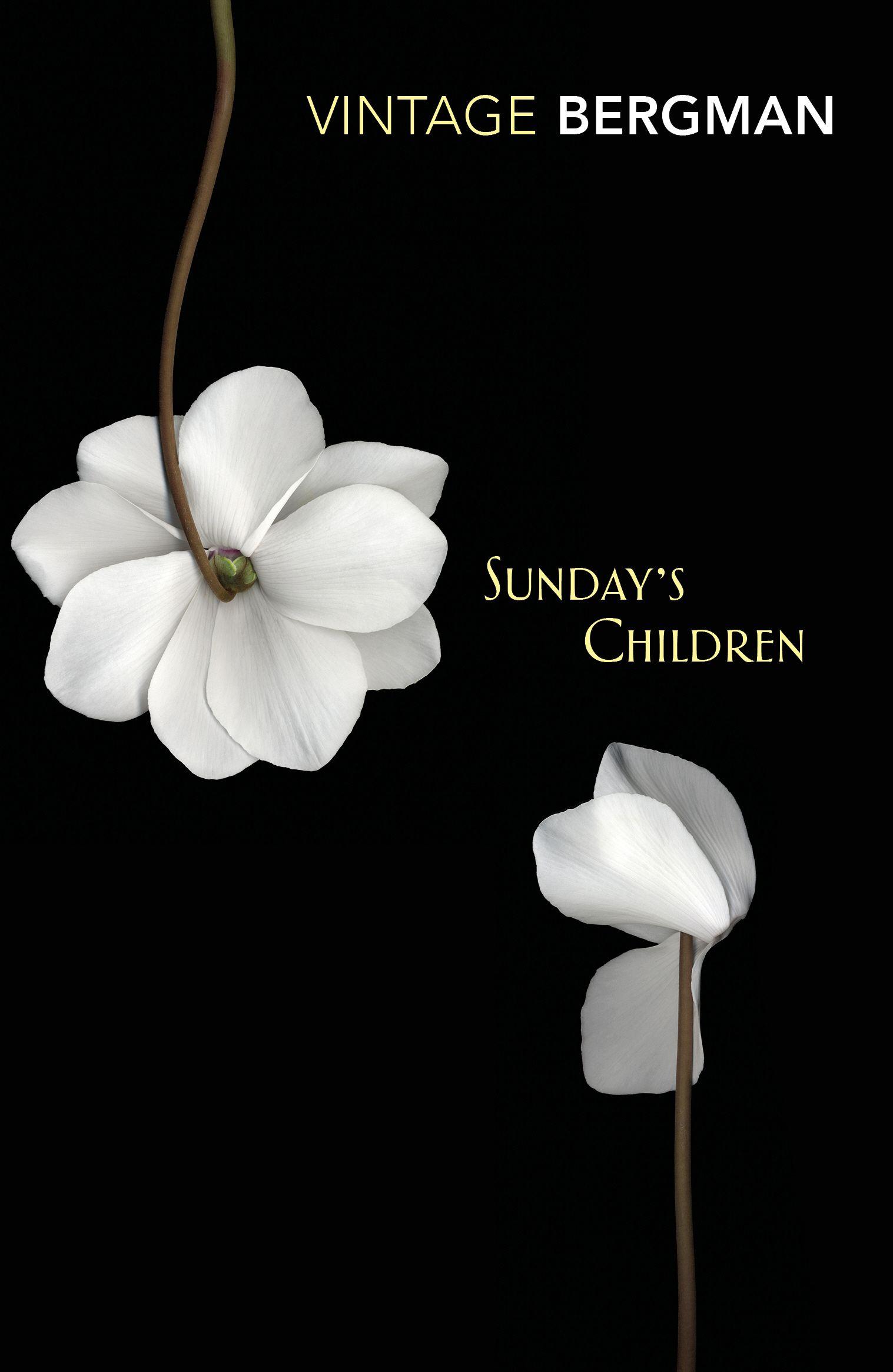 Vorderes Coverbild Sunday's Children