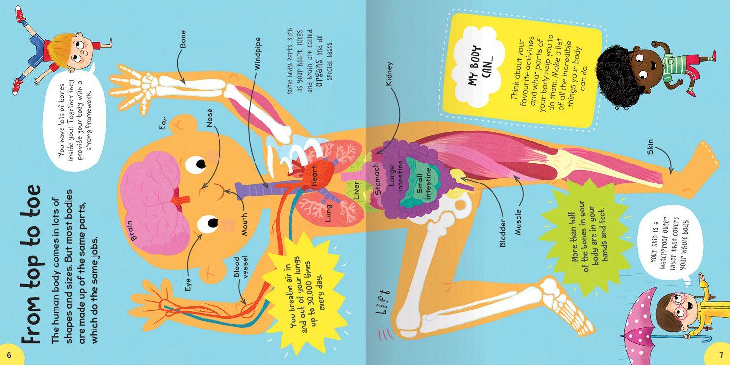 Beispielinhalt (Bild) First Body Book