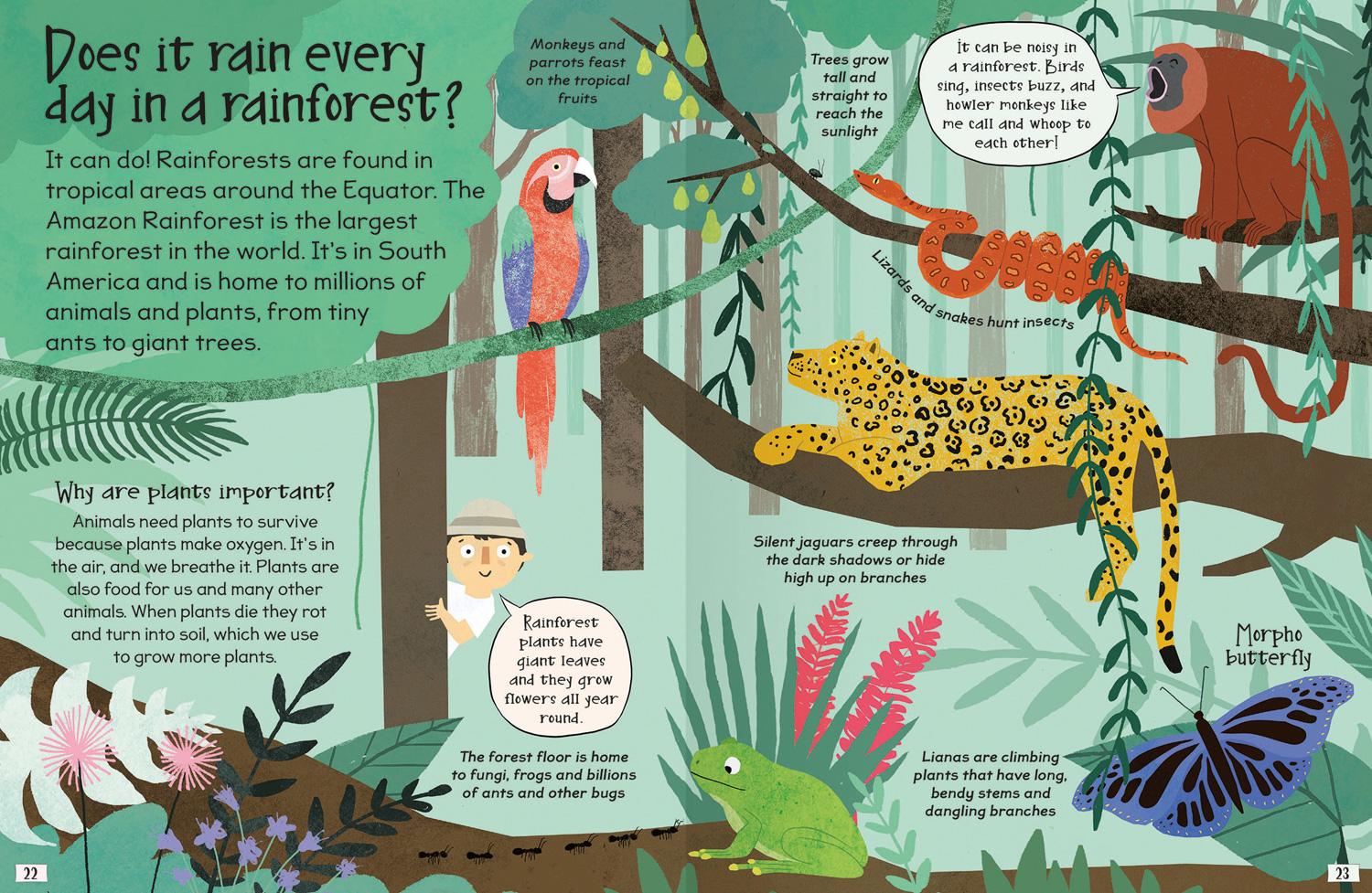 Beispielinhalt (Bild) Curious Questions & Answers about Our Planet