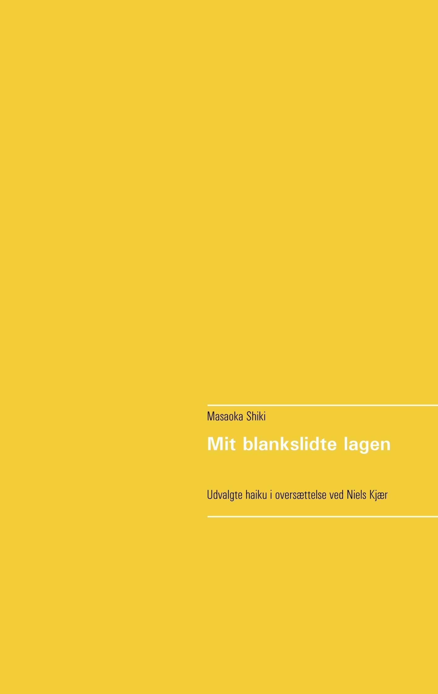 Vorderes Coverbild Mit blankslidte lagen