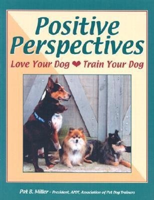 Vorderes Coverbild Positive Perspectives
