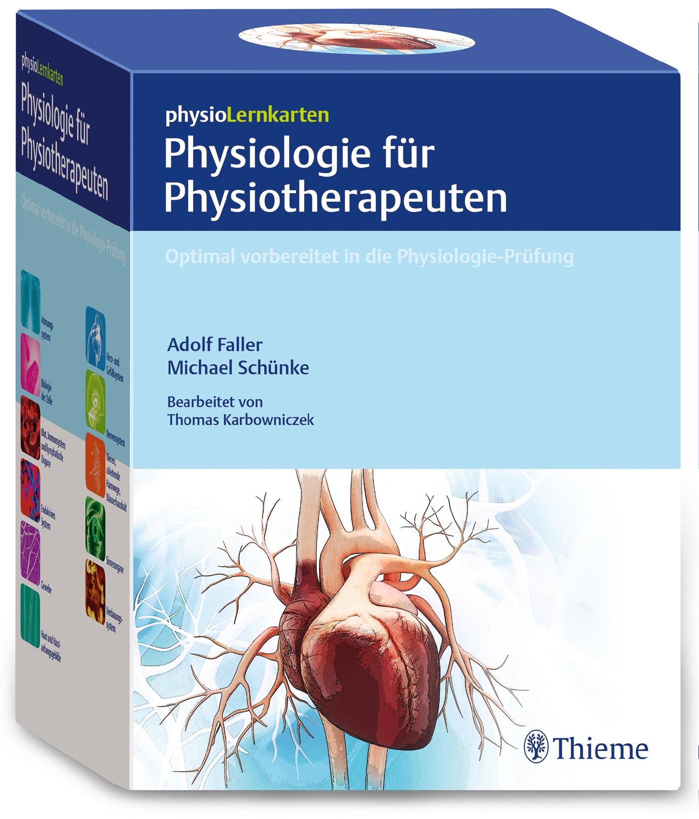 Vorderes Coverbild physioLernkarten - Physiologie für Physiotherapeuten