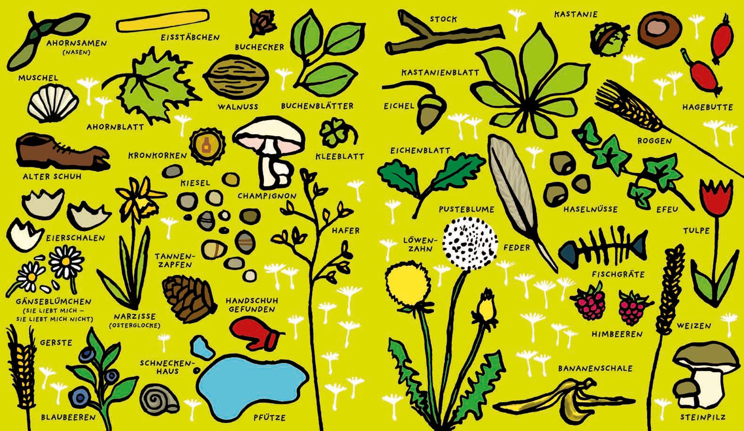 Beispielinhalt (Bild) Das kenn ich schon