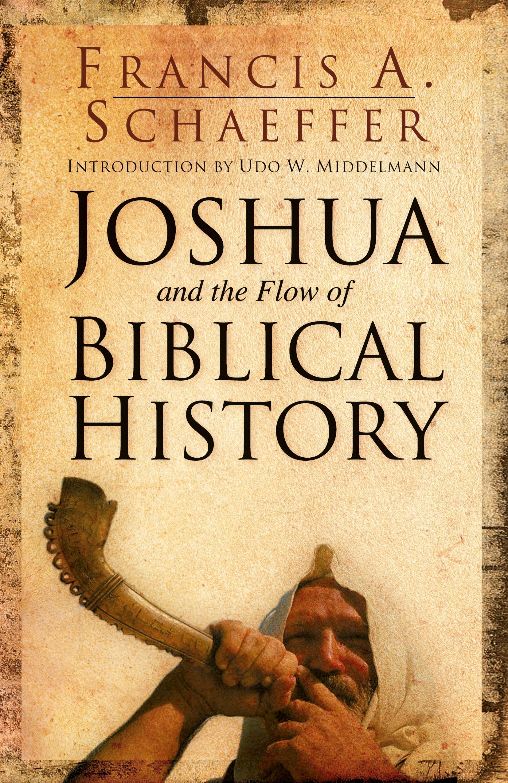Vorderes Coverbild Joshua and the Flow of Biblical History