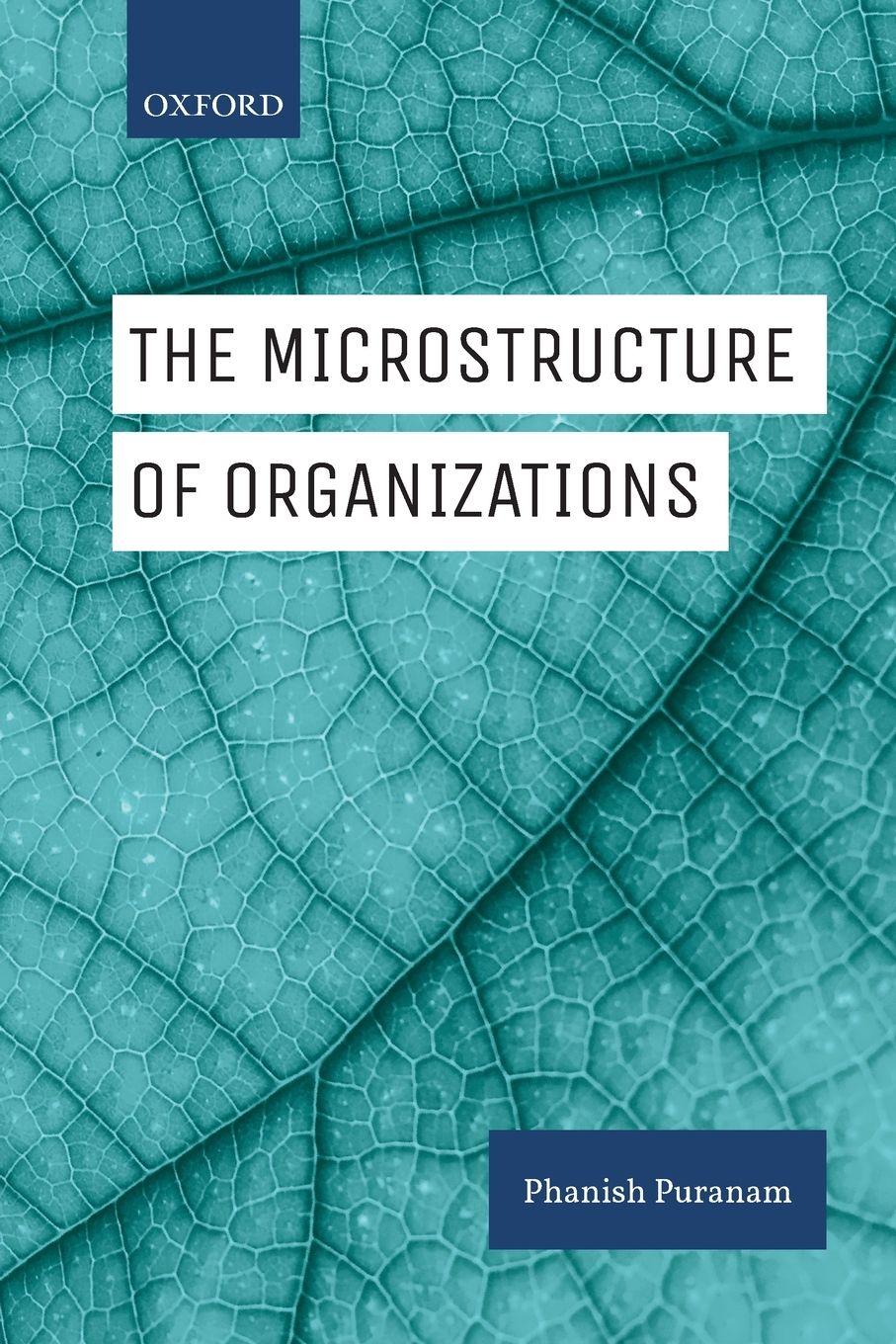 Vorderes Coverbild Microstructure of Organizations