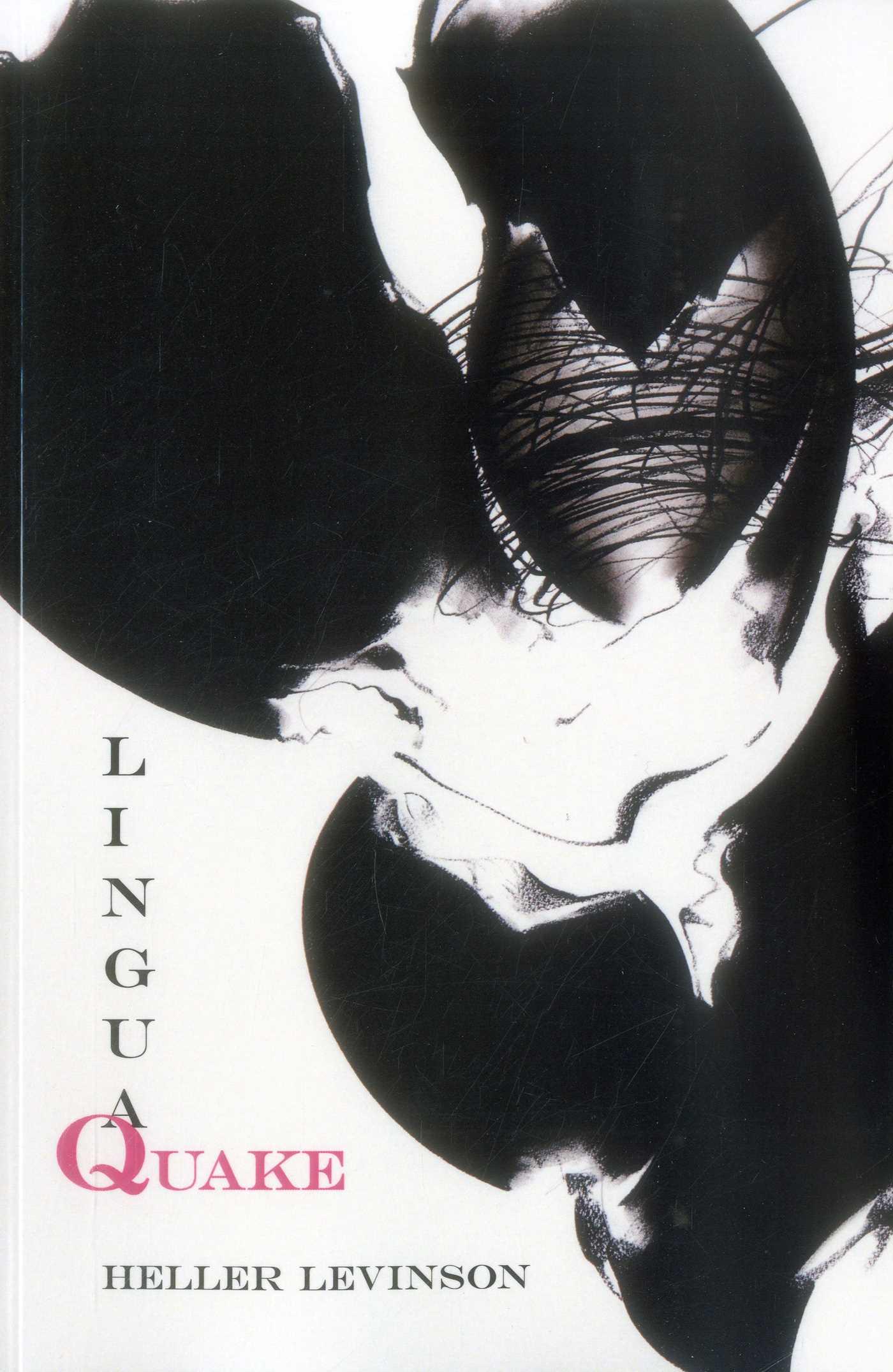 Vorderes Coverbild Linguaquake