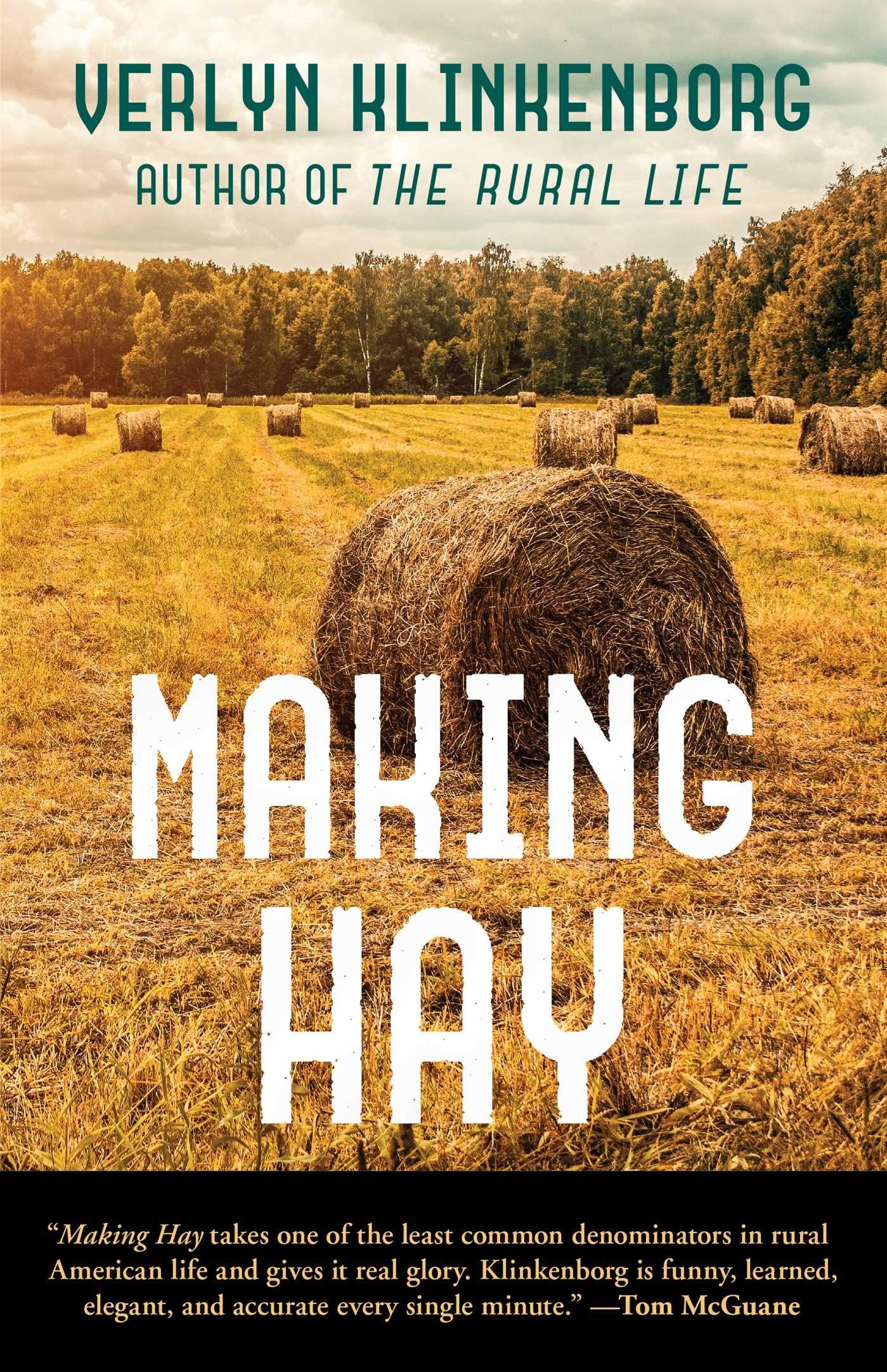 Vorderes Coverbild Making Hay