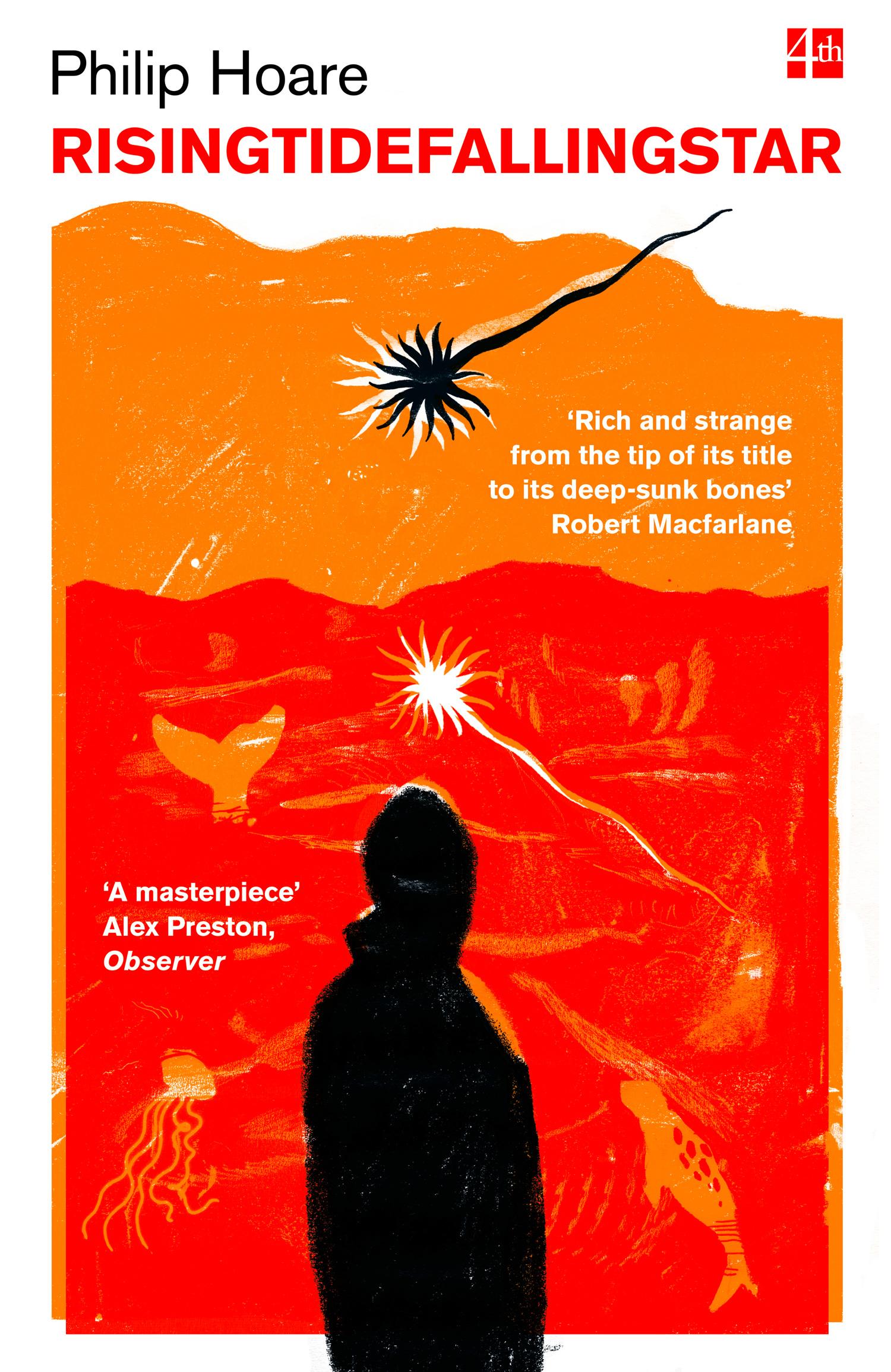 Vorderes Coverbild RISINGTIDEFALLINGSTAR