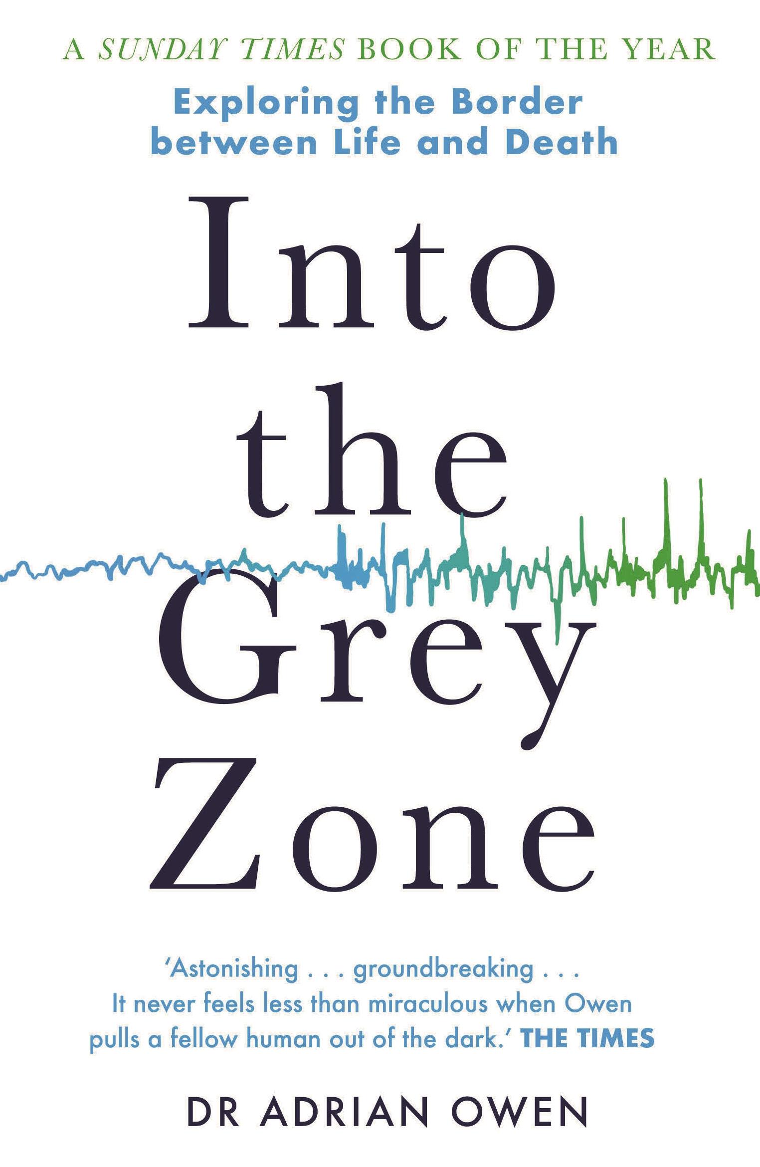Vorderes Coverbild Into the Grey Zone
