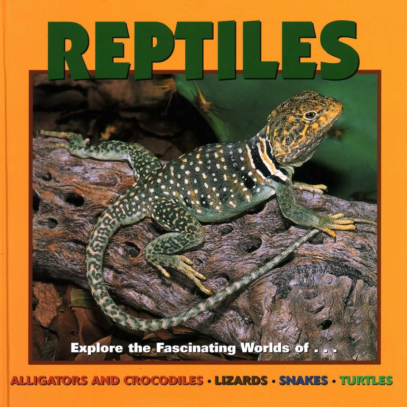 Vorderes Coverbild Reptiles