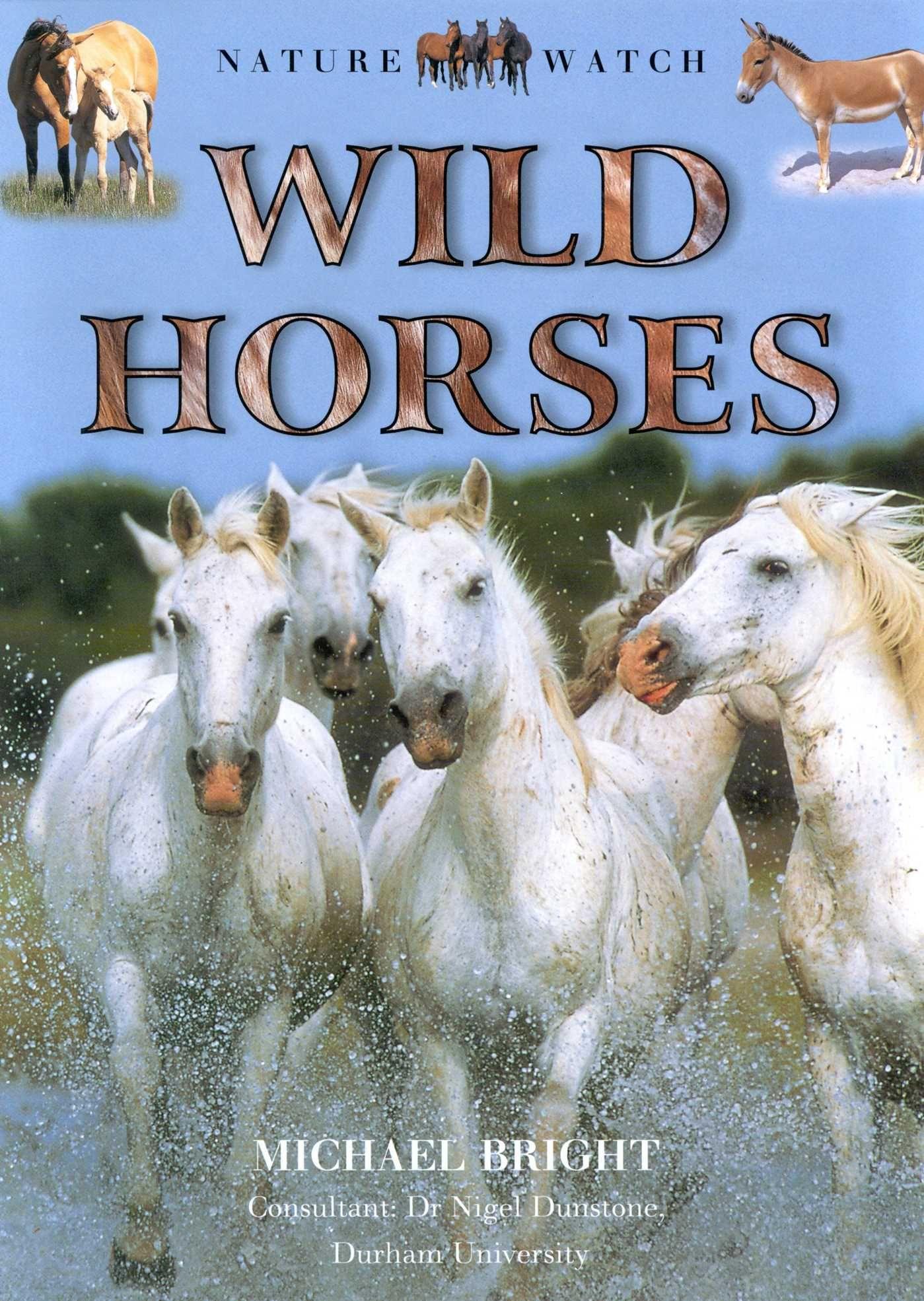 Vorderes Coverbild Wild Horses