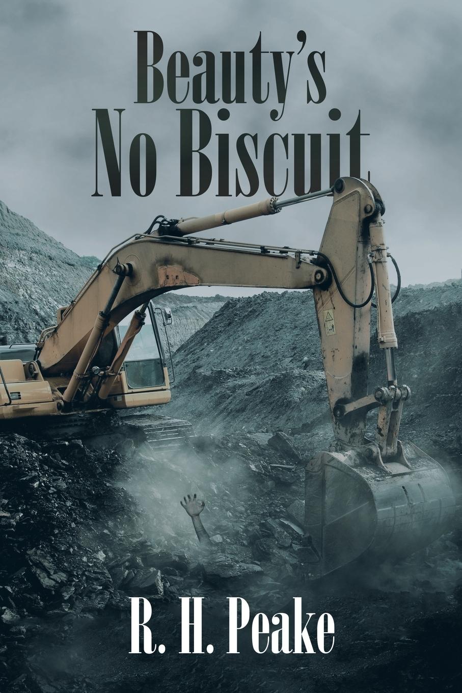Vorderes Coverbild Beauty'S No Biscuit