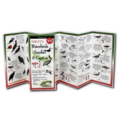 Vorderes Coverbild Sibley's Waterbirds of Sanibel & Captiva