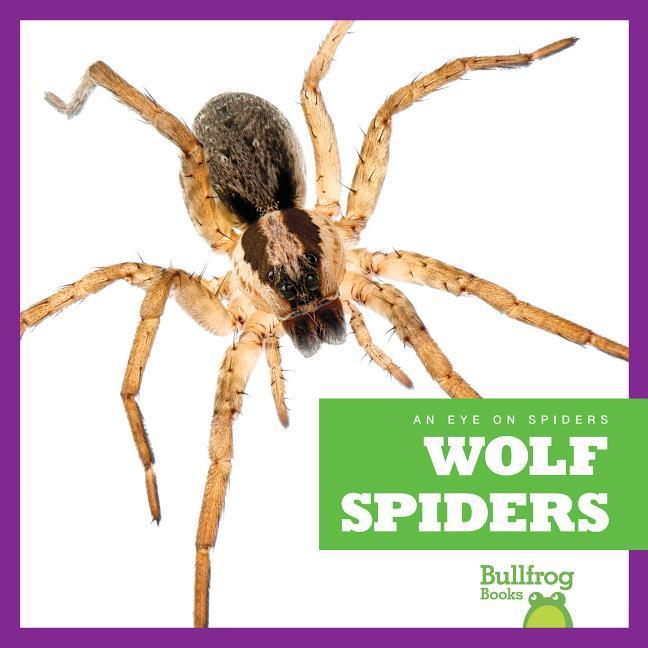 Vorderes Coverbild Wolf Spiders