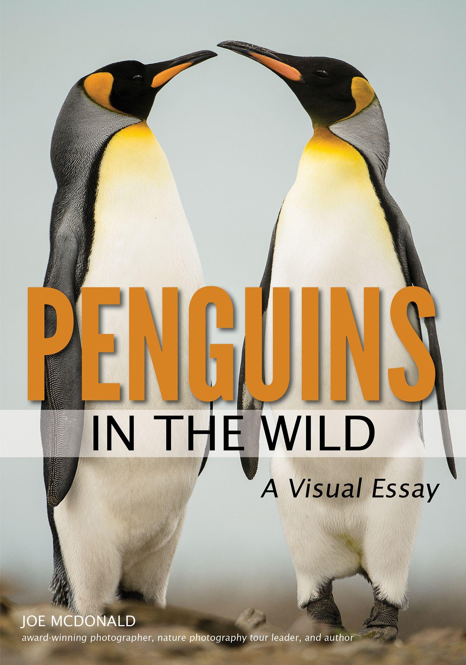 Vorderes Coverbild Penguins in the Wild