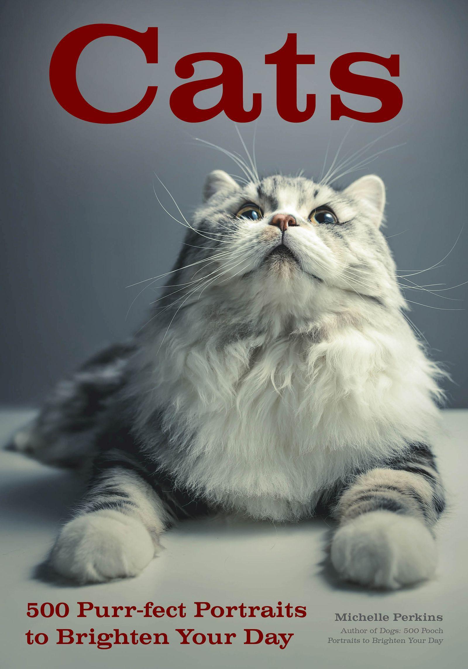 Vorderes Coverbild Cats