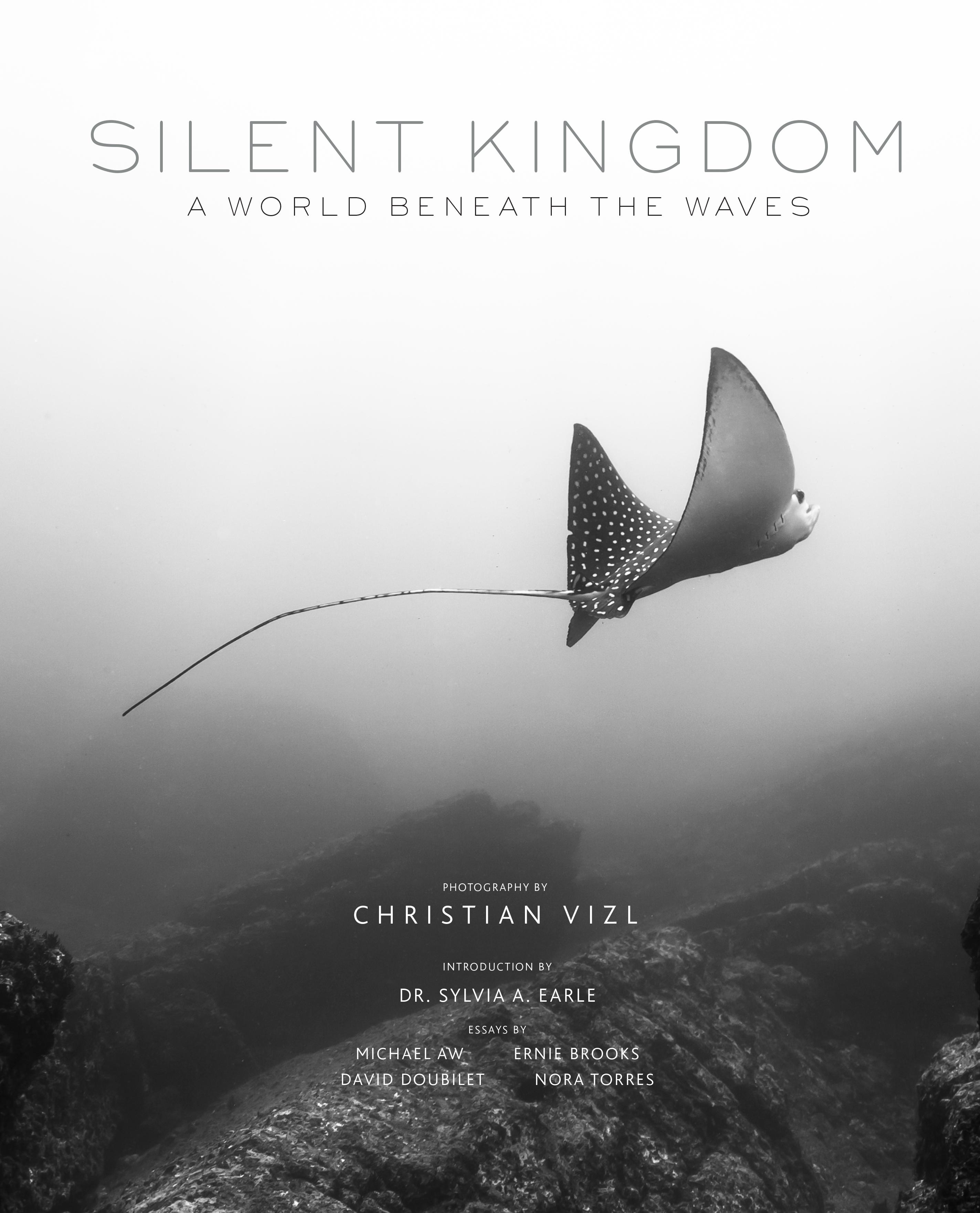 Vorderes Coverbild Silent Kingdom