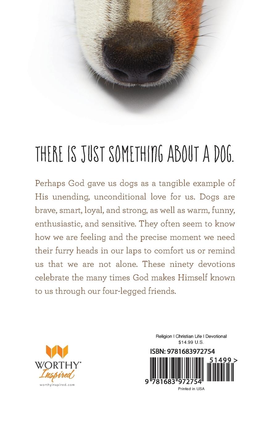Rückseitencover So God Made a Dog