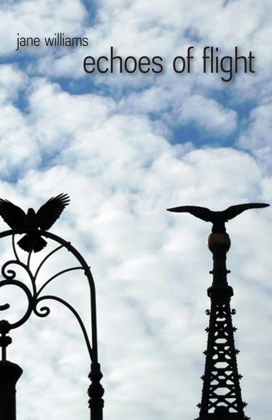 Vorderes Coverbild echoes of flight