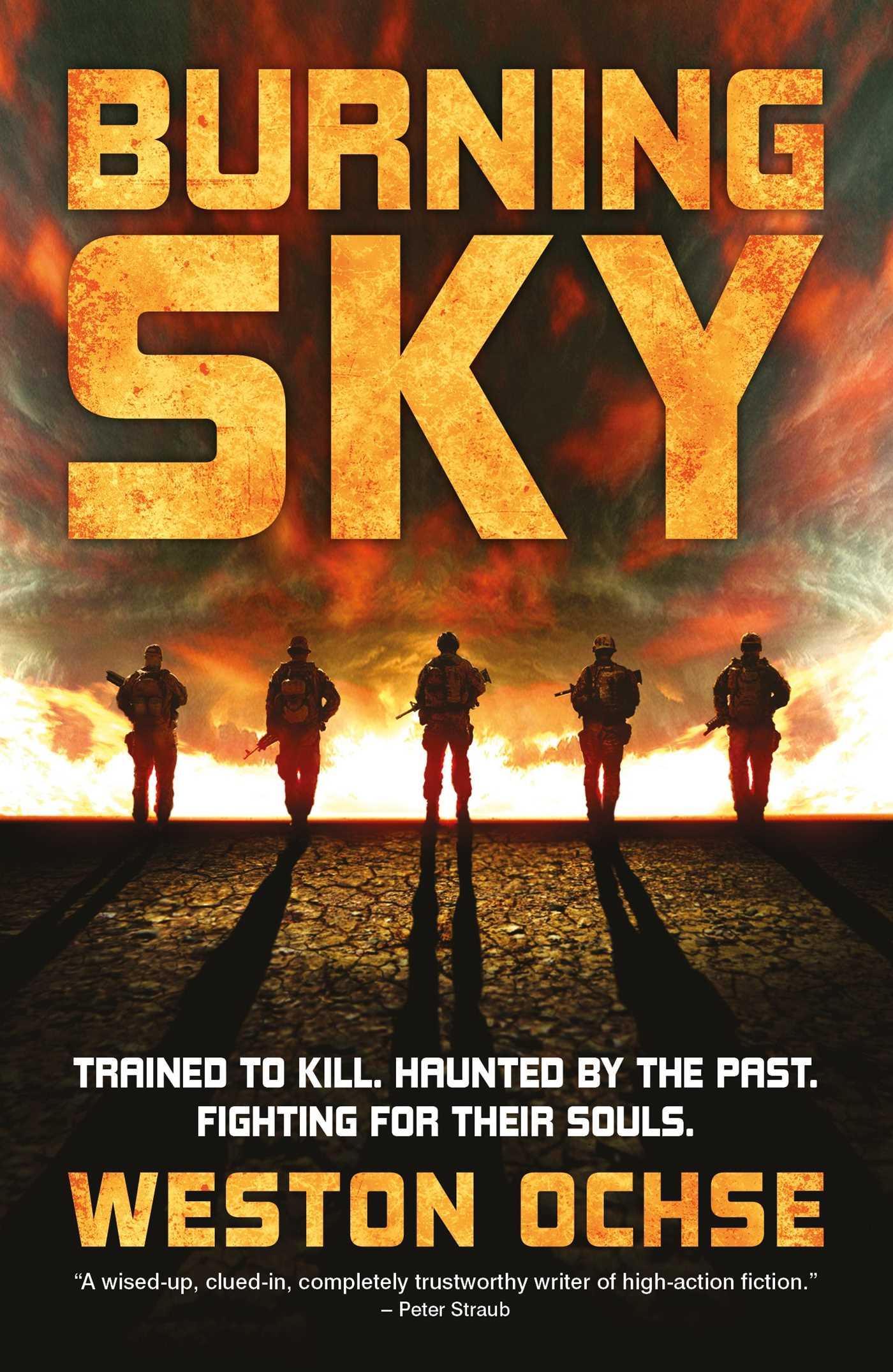 Vorderes Coverbild Burning Sky