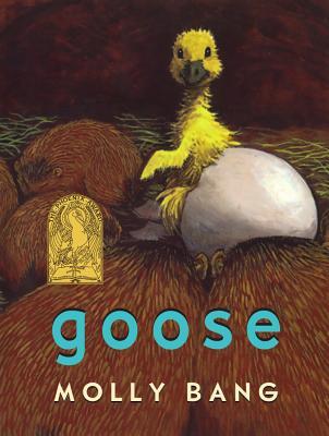 Vorderes Coverbild Goose